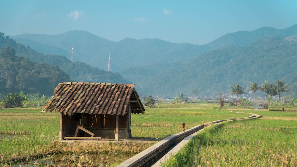 a small shack on a train track