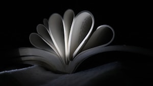 Livre Émotions