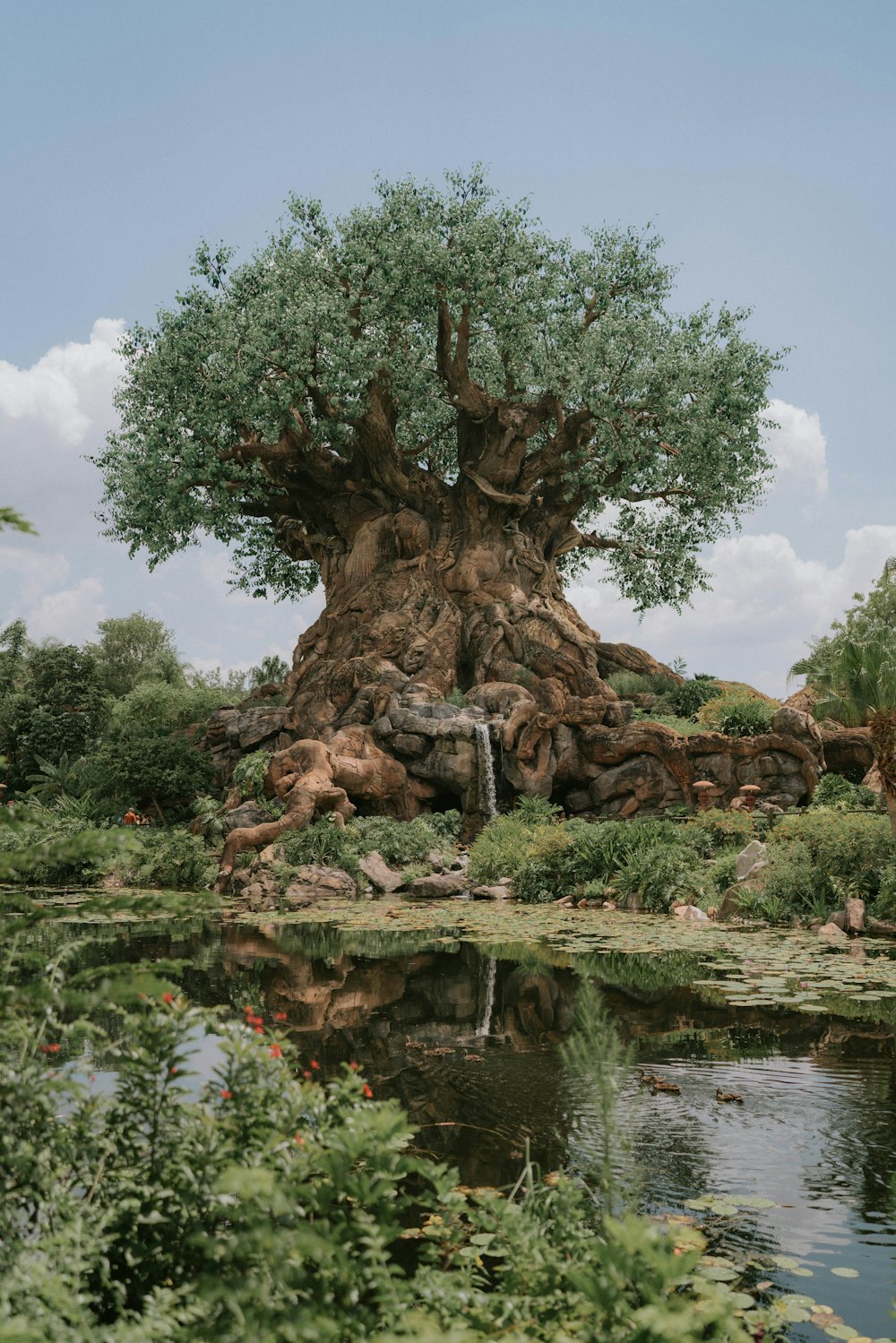 Un arbre avec de nombreuses branches et rochers