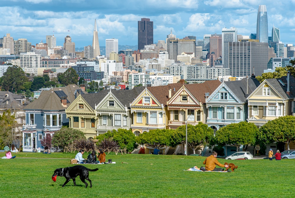 a group of people sitting on the grass in front of a group of houses