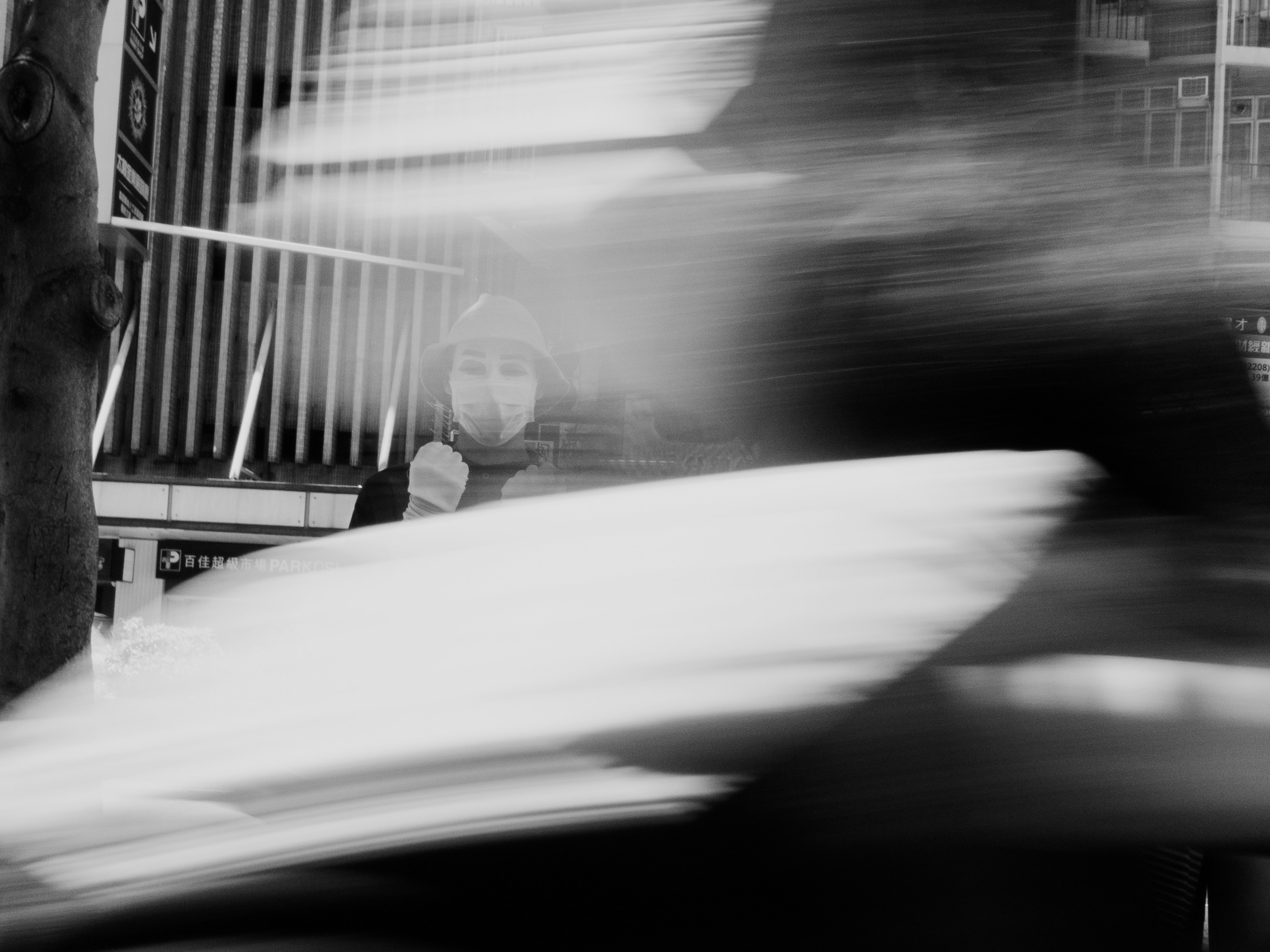 Photo by catgirlmutant