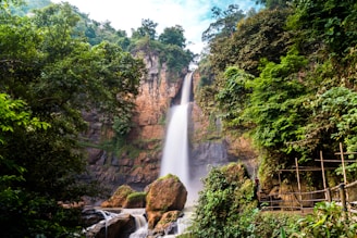 a waterfall in a forest