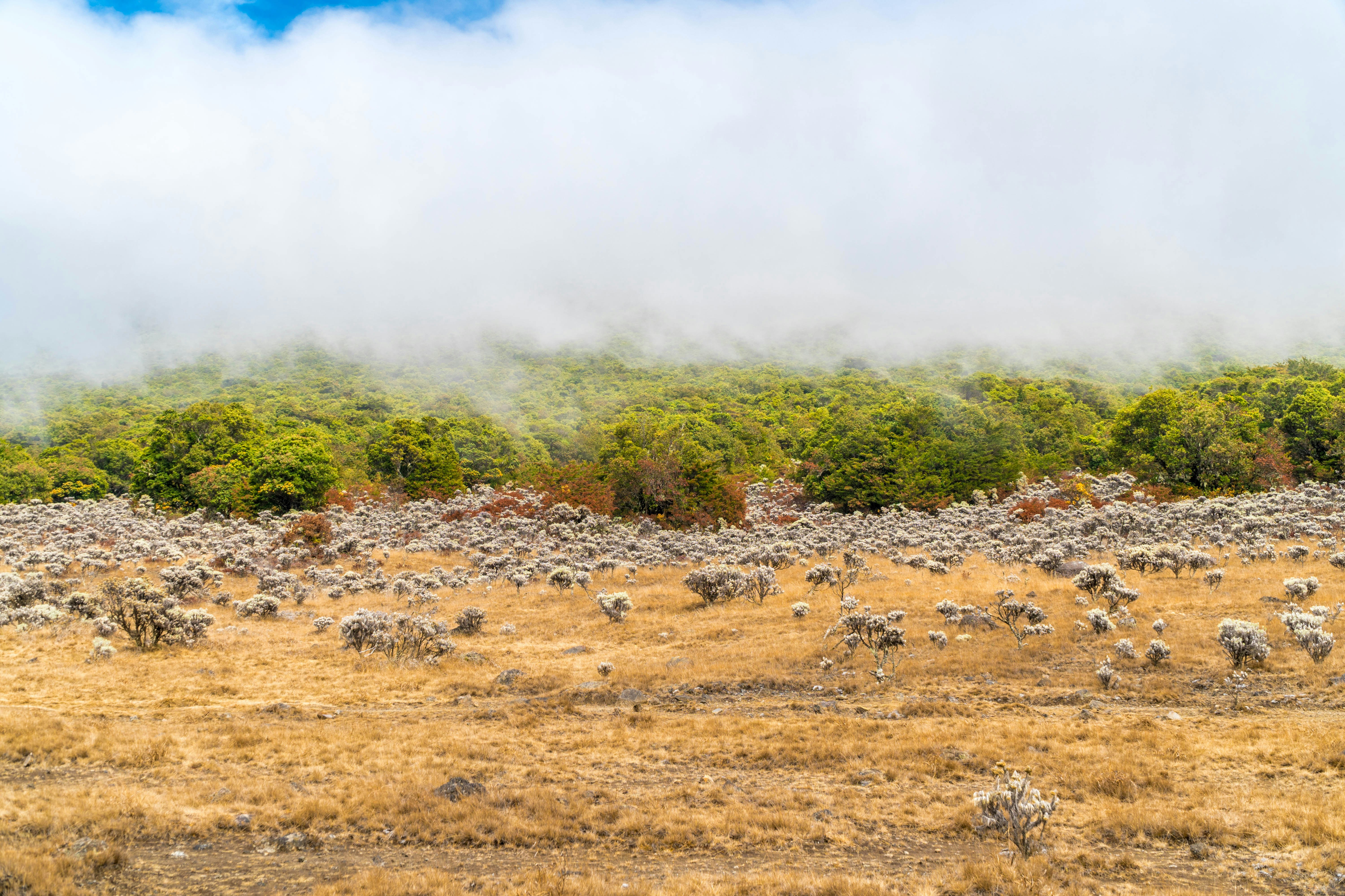 Photo by fadhelrabbani