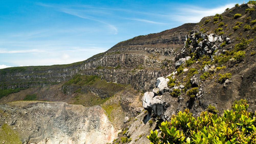 a rocky hillside with plants and rocks