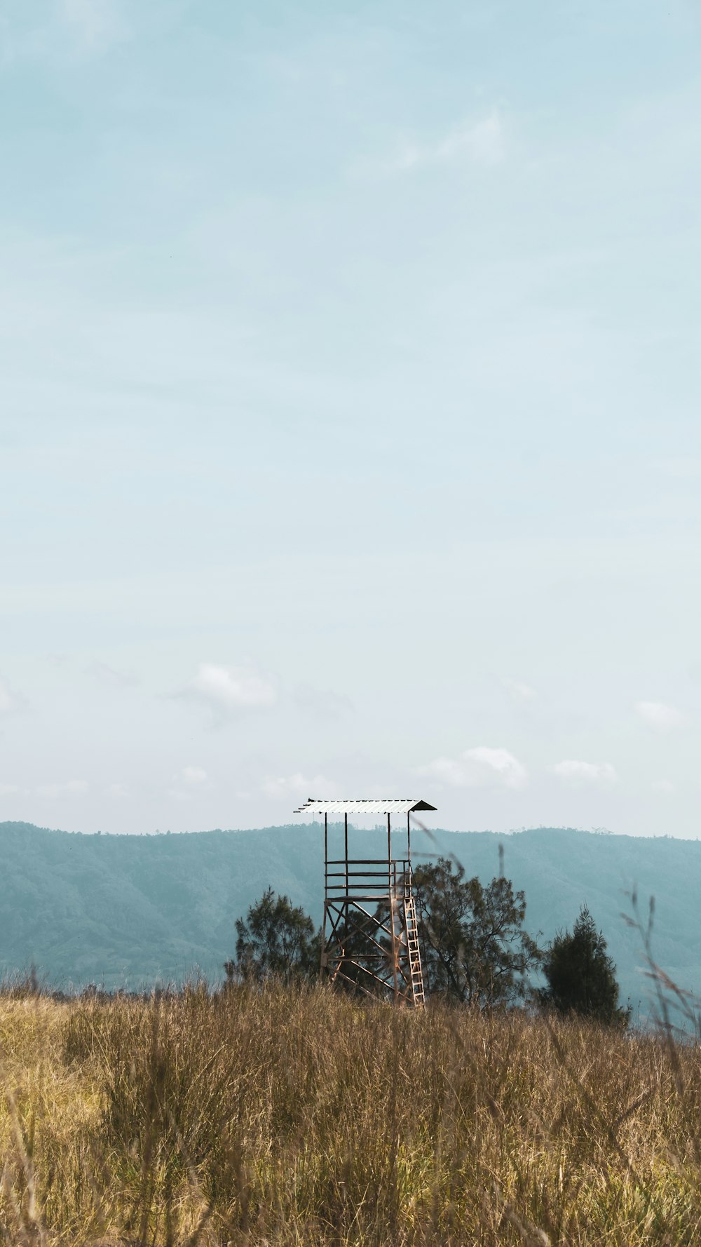 a tower in a field