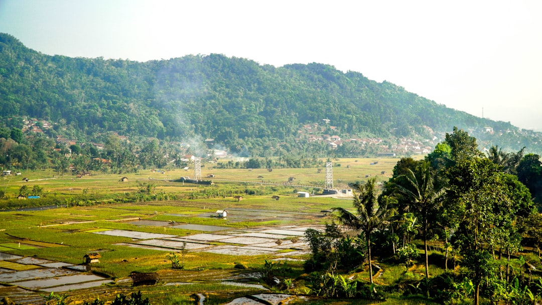 Plain photo spot Baginda Wayang-Windu