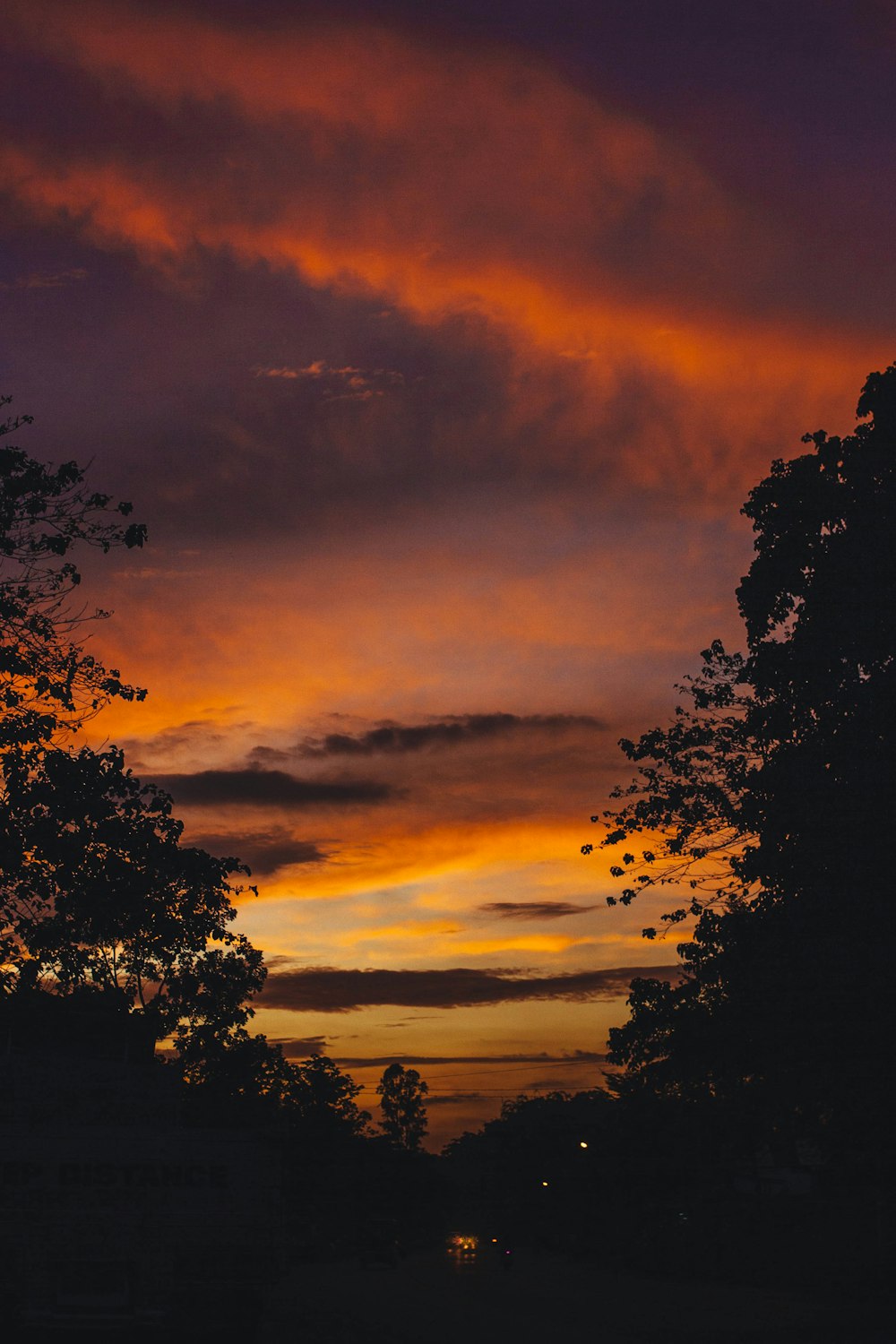 a sunset with trees