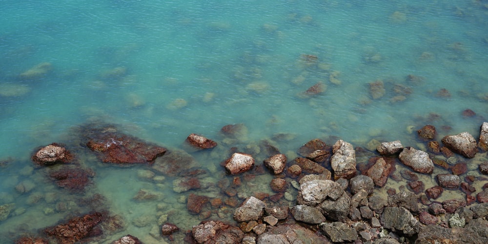 rocks in the water
