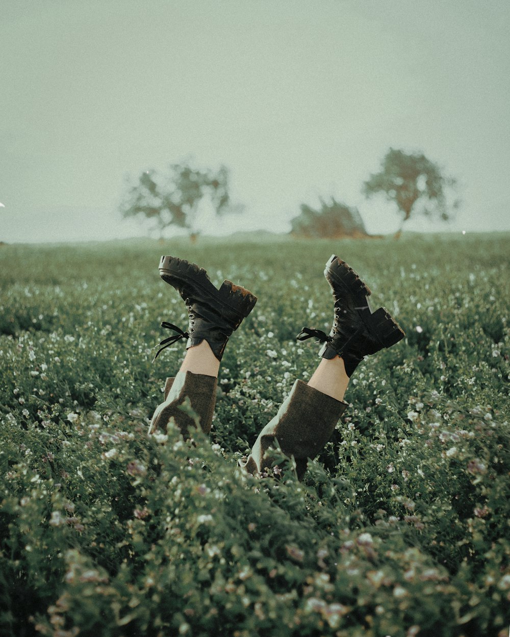 a person in a field of flowers