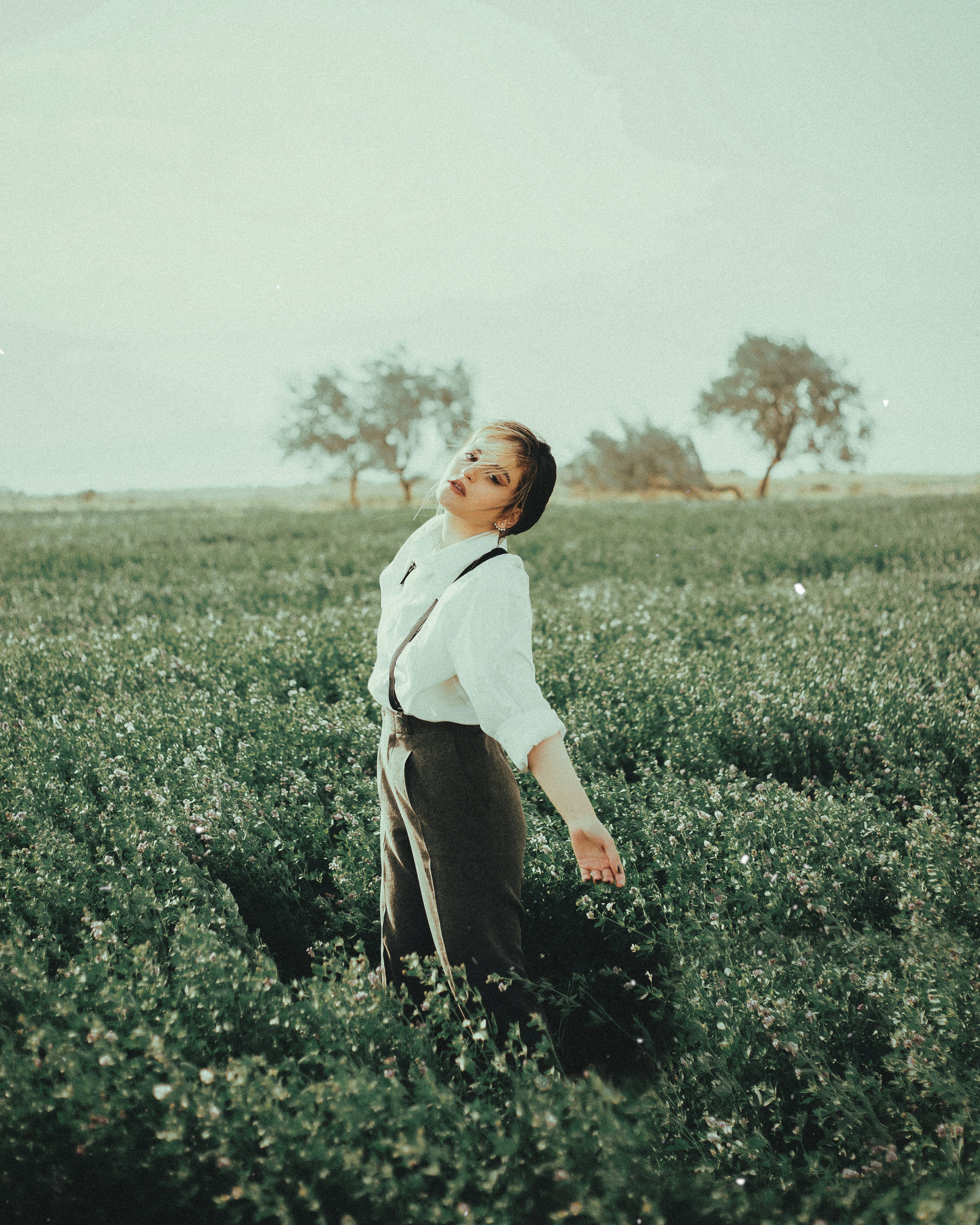 A person standing in a field of flowers photo – Free Outdoors Image on ...