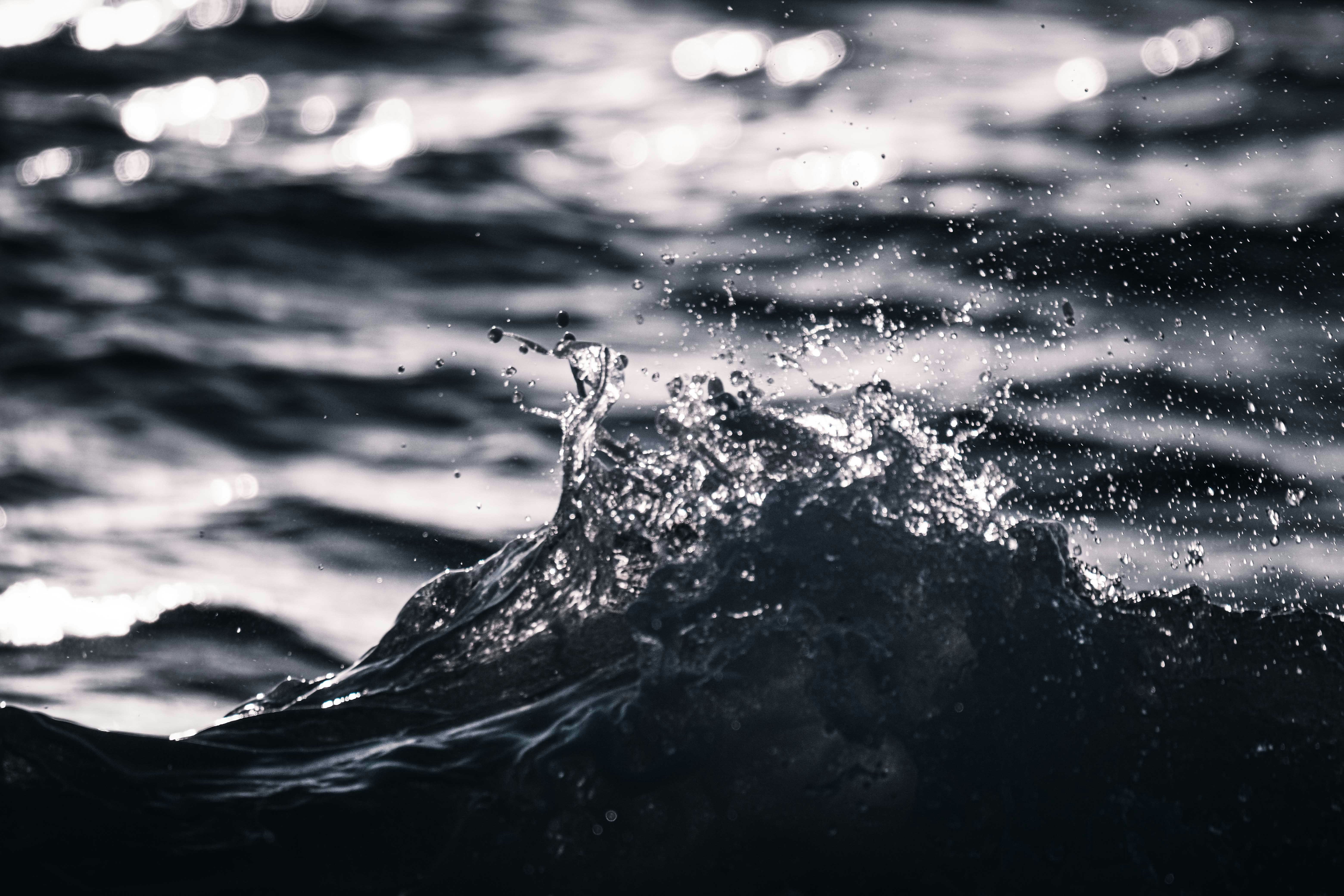 Photo by francesco_ungaro