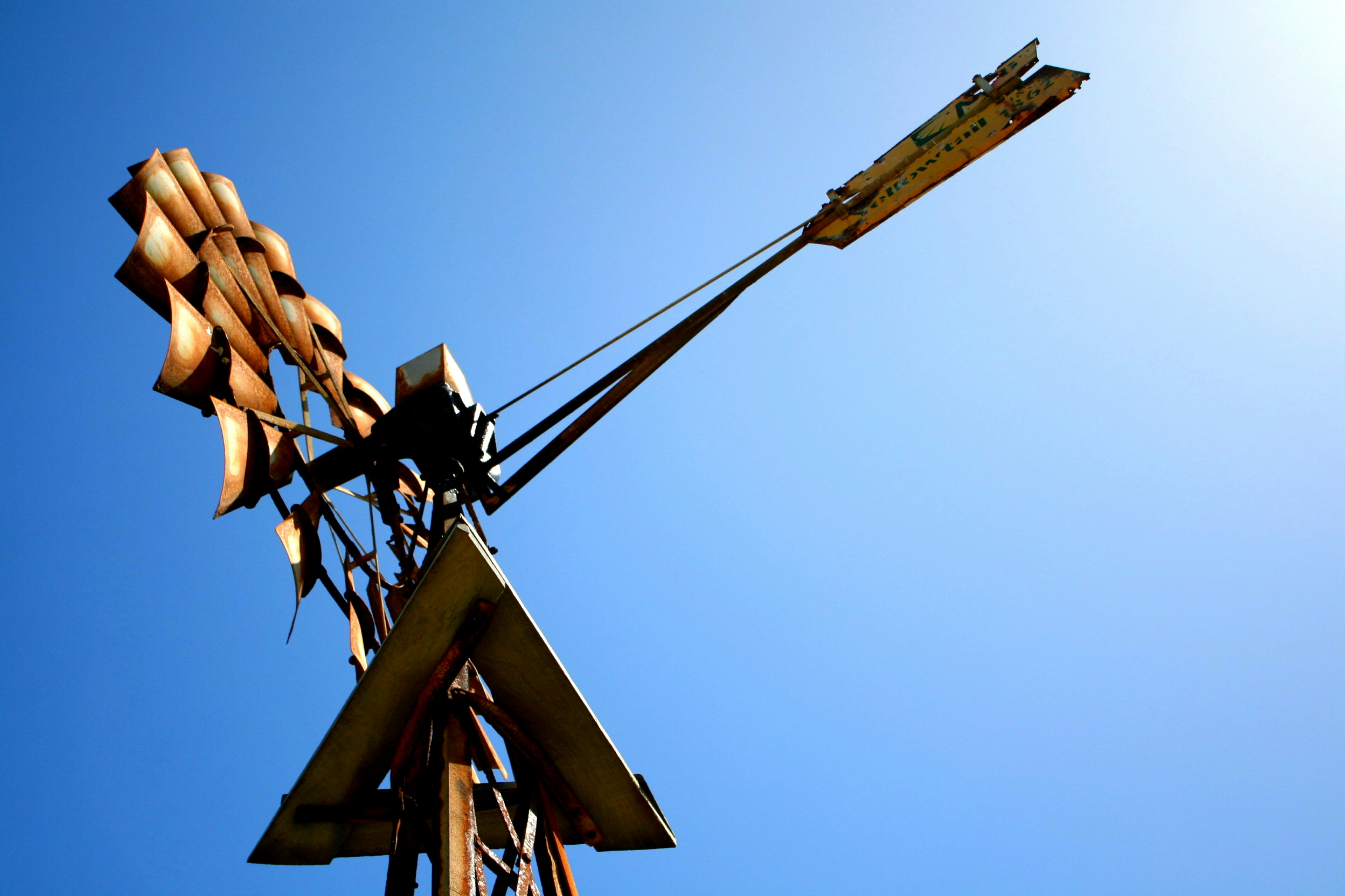 Photo by craigmanners_com