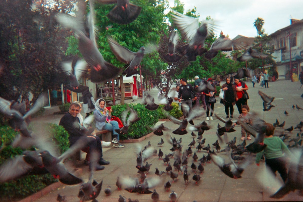 a group of people sitting on a rock with birds flying around