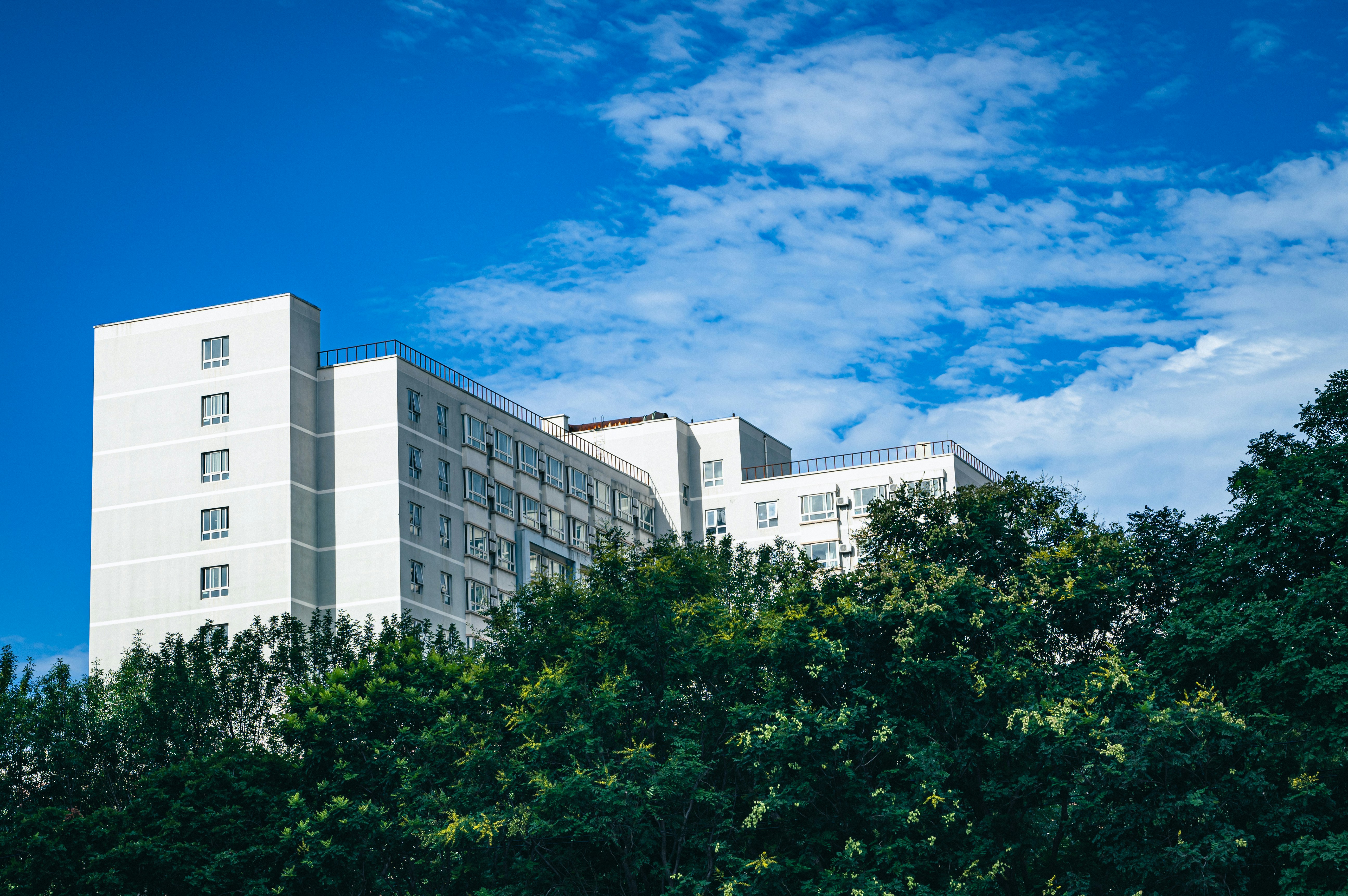 Photo by peek_a_boo_who