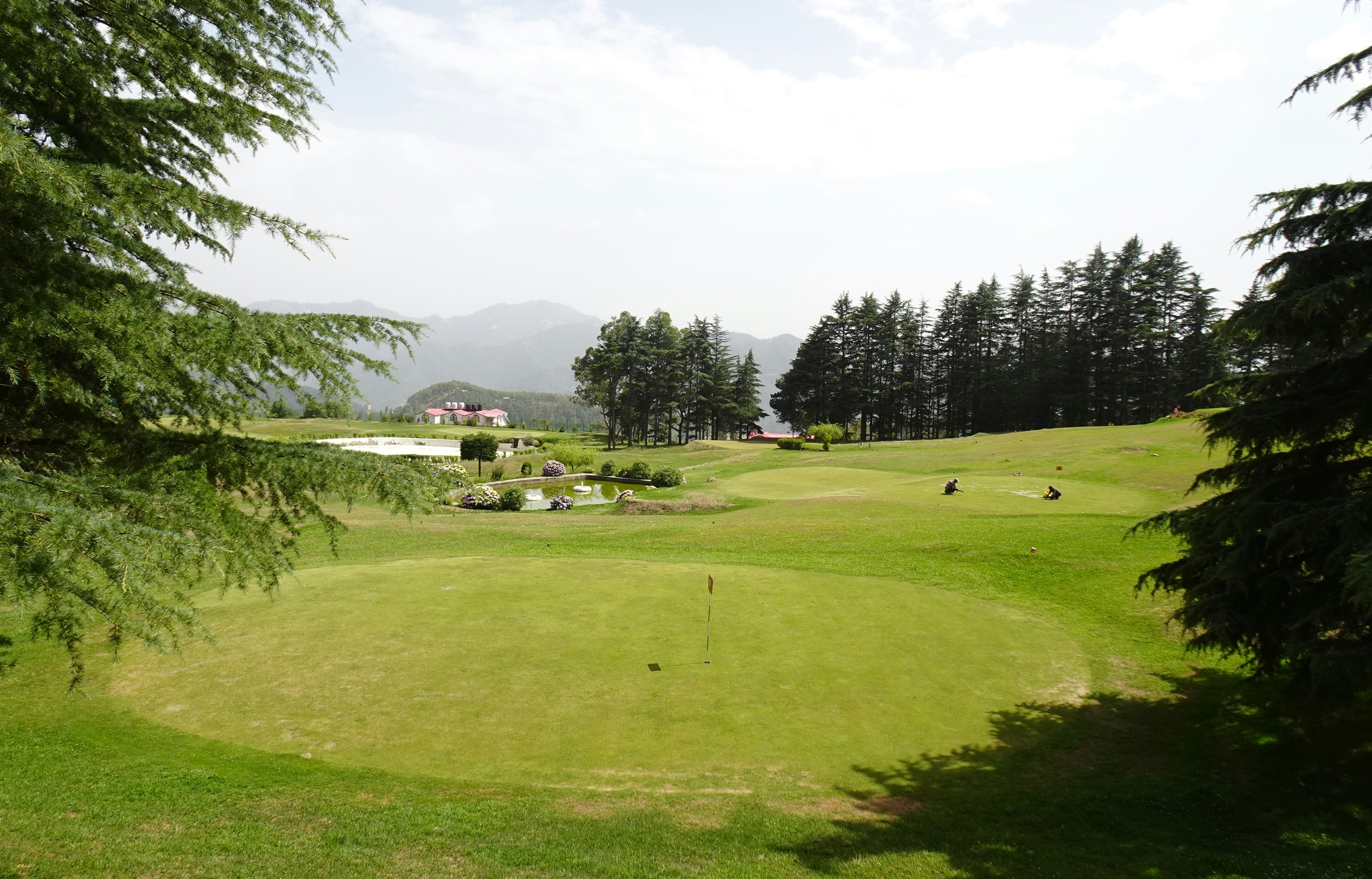 A serene golf course at dawn with soft cream skies and deep pine green trees lining the fairway.