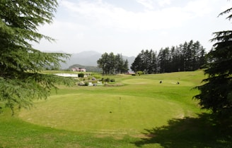 A serene golf course with lush green fairways and a clear blue sky.