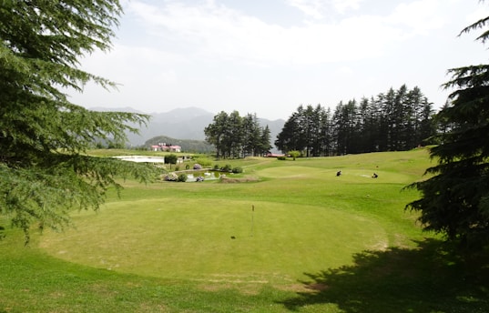 A serene golf course with lush green fairways and a clear blue sky.