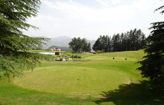 A serene view of the lush green fairways and mature trees at Pavenham Park Golf Club on a sunny day.