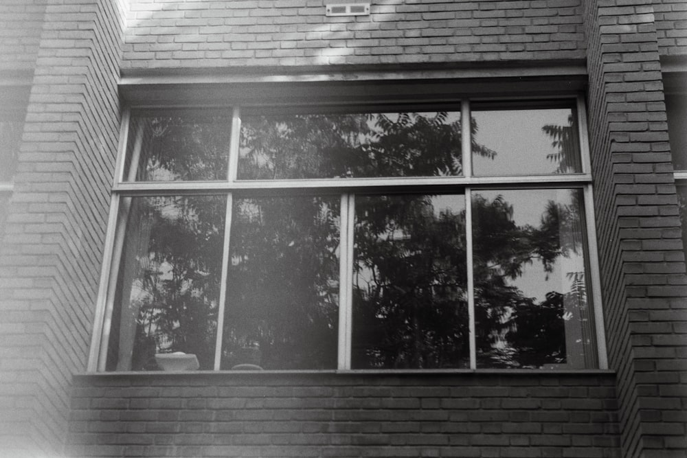 a window with a tree outside