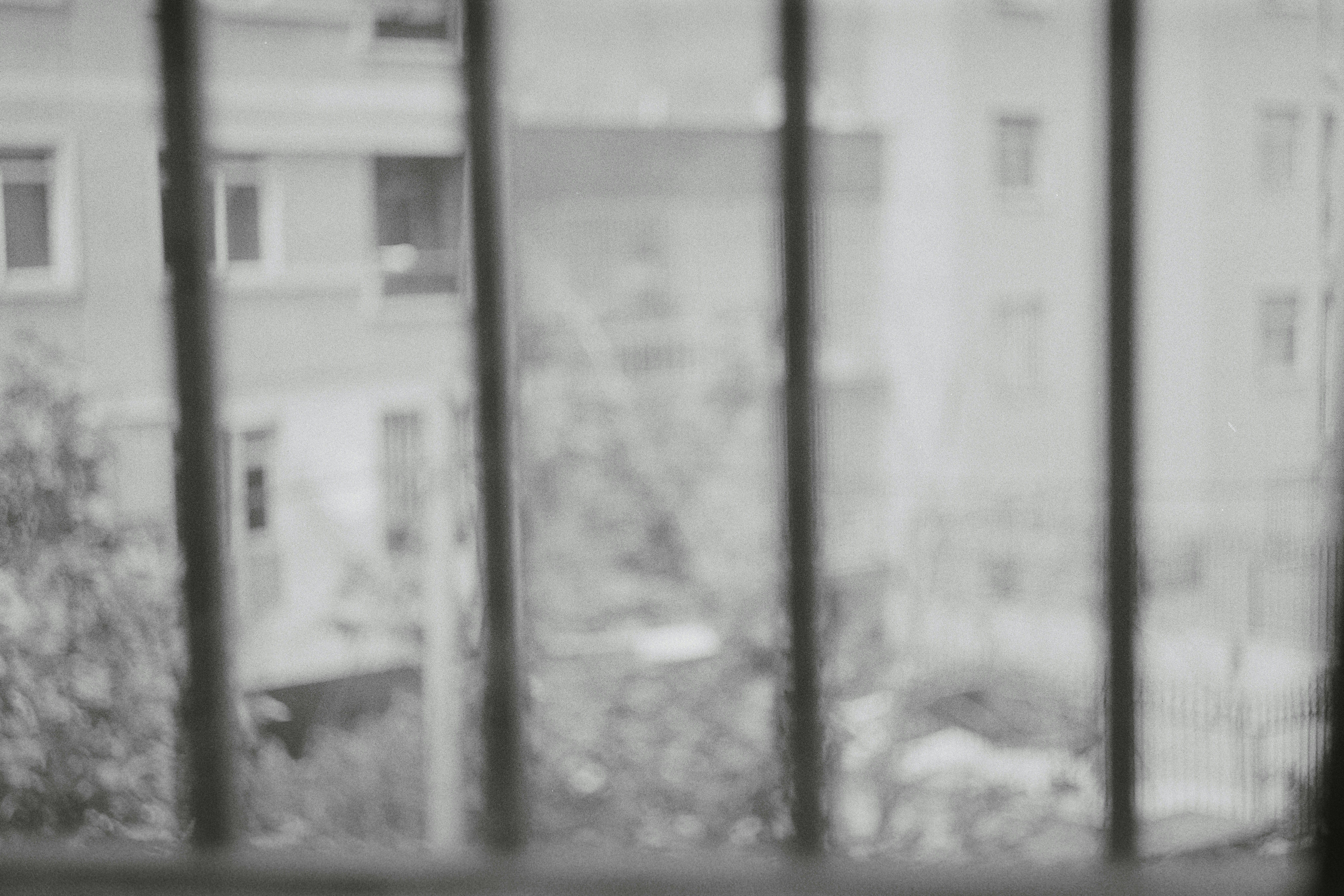 Photo by parisa_ssdgh