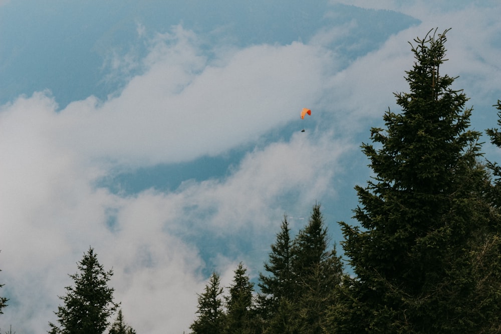 a hot air balloon in the sky