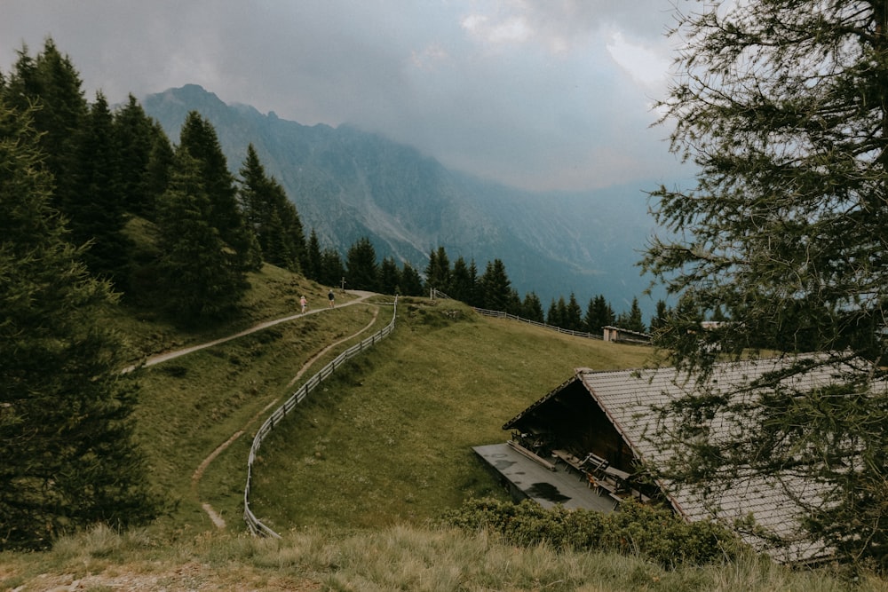 a road going through a valley