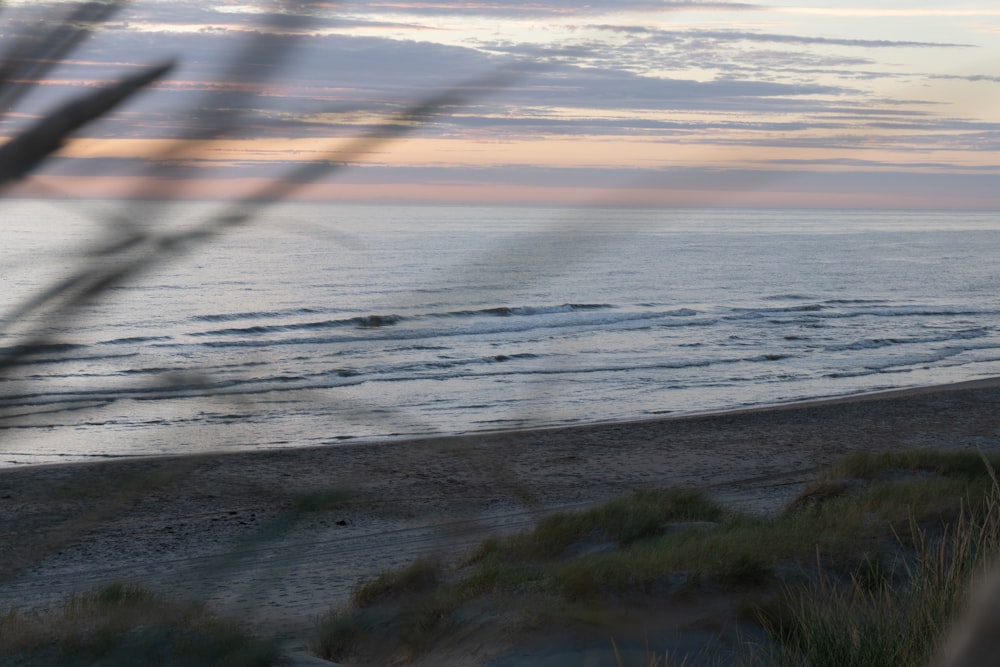 a beach with waves and grass