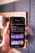 graphical user interface, application