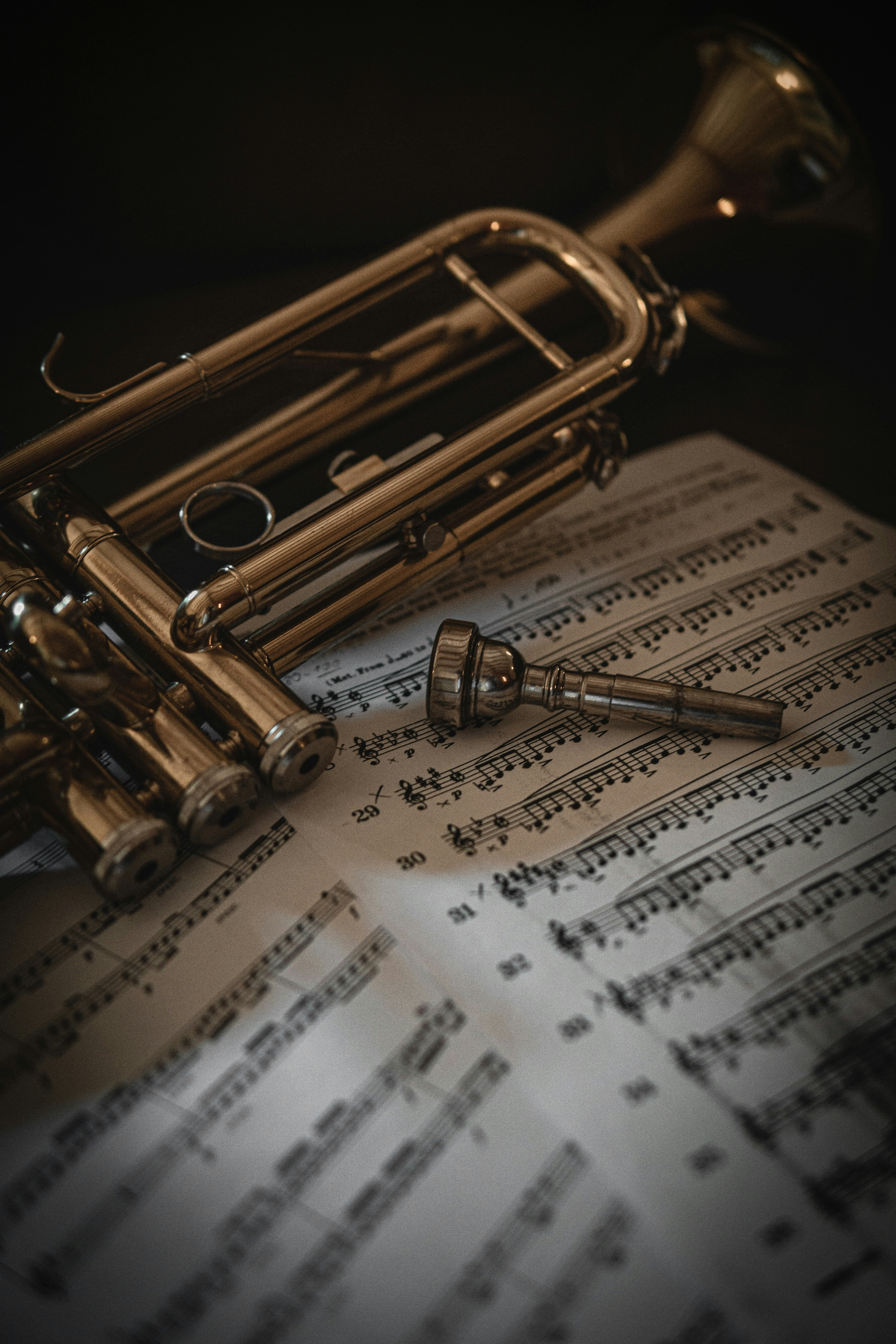 Photo by felix_metz03