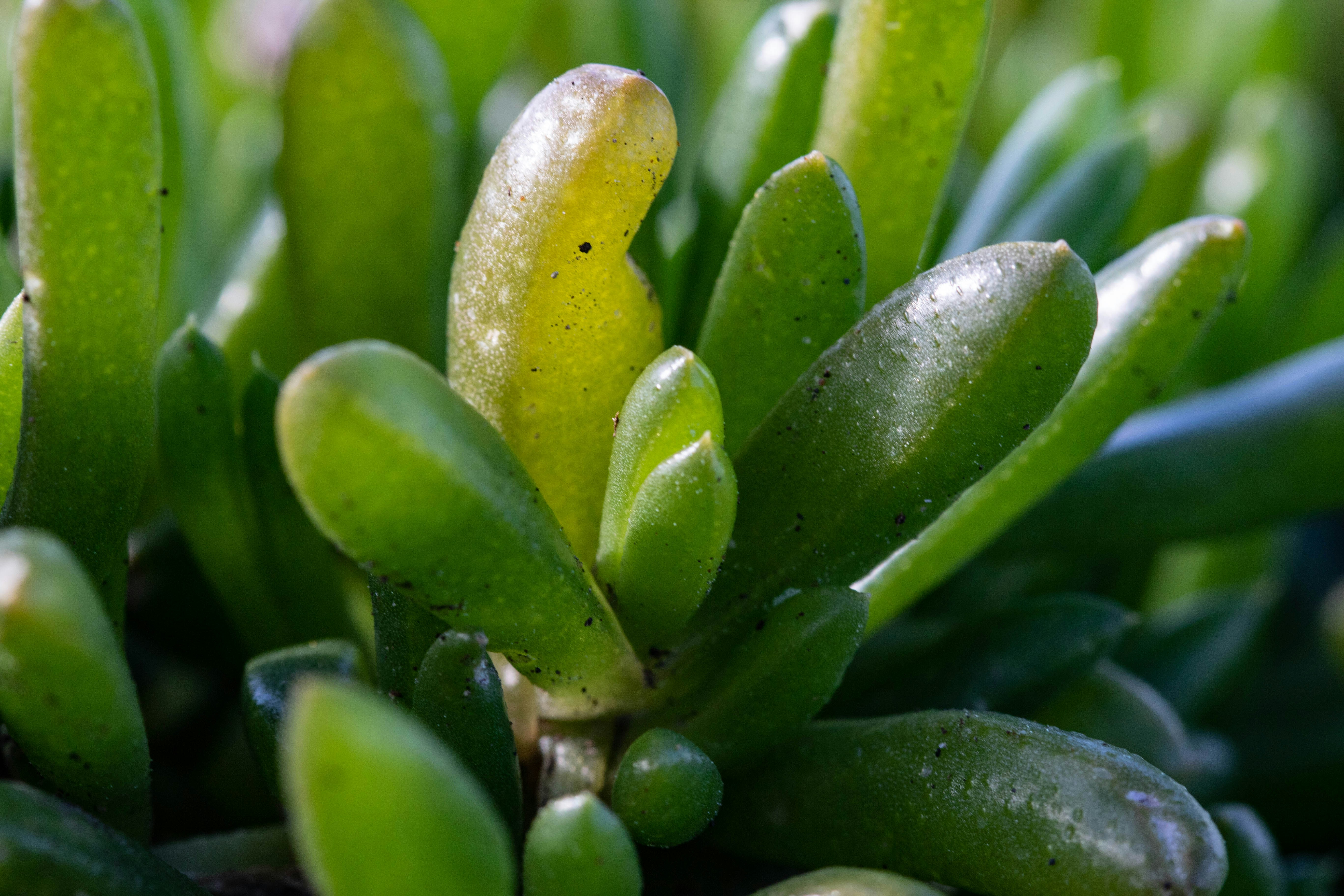 Photo by richie_slai