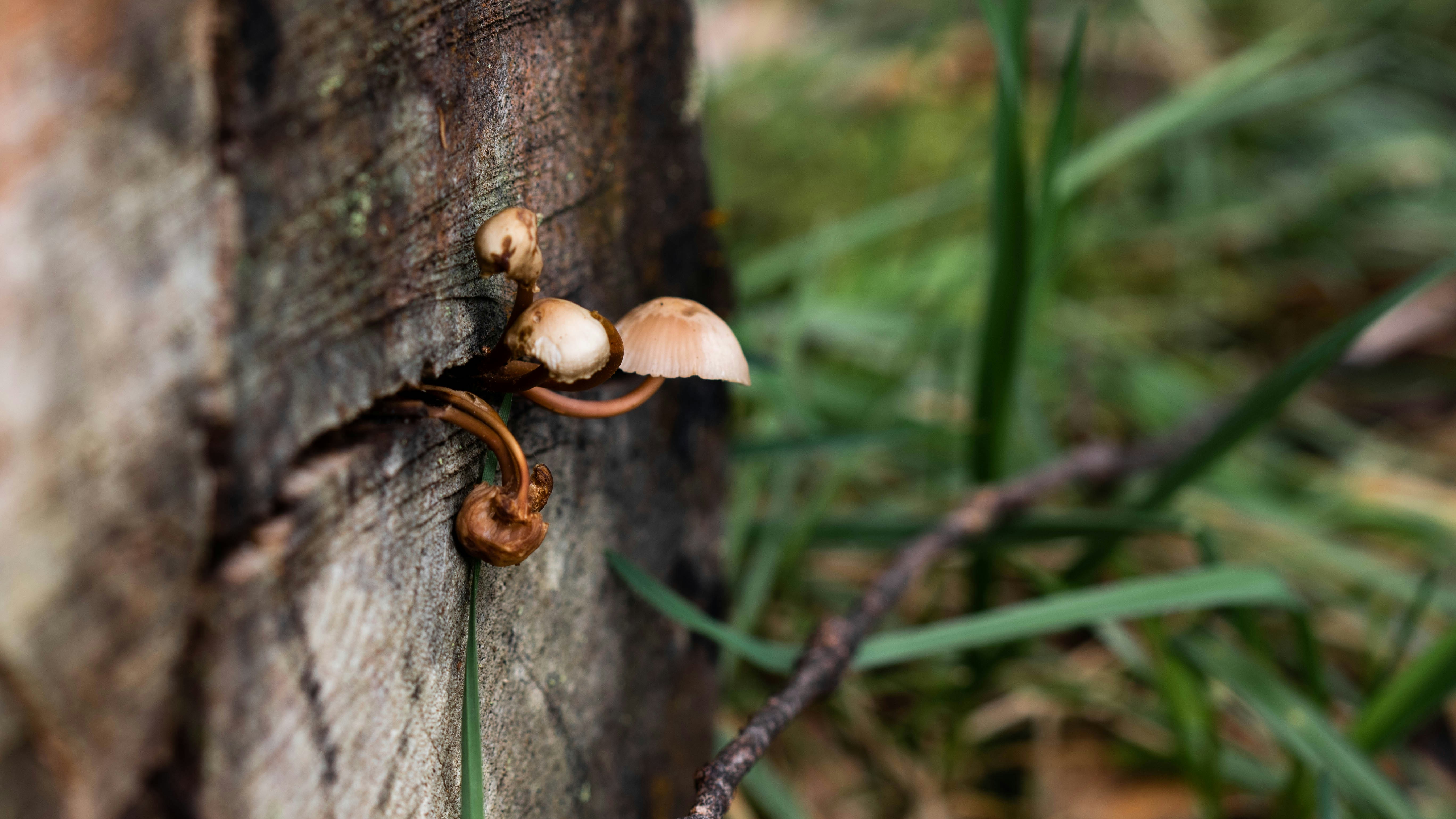 Photo by richie_slai