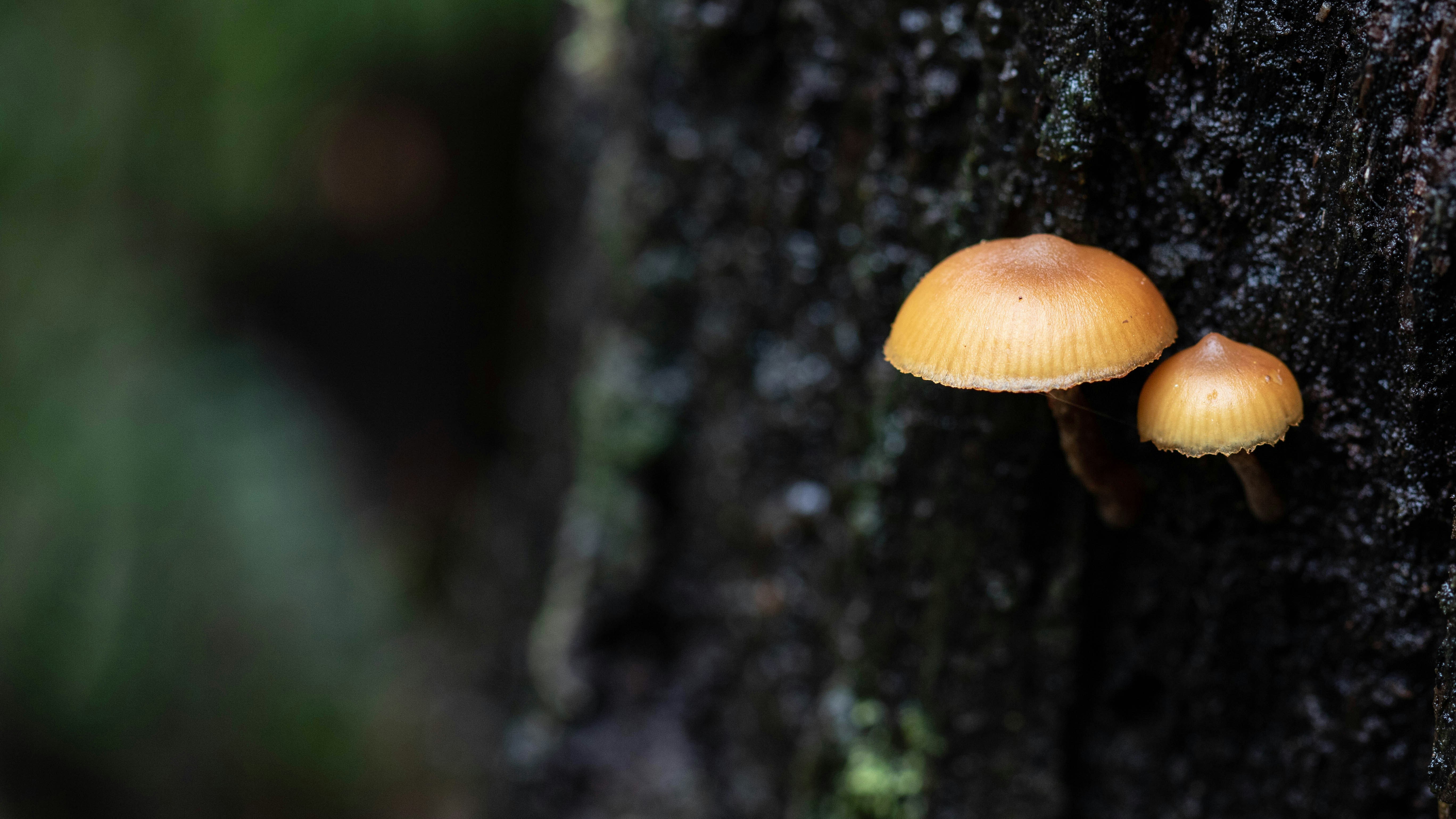 Photo by richie_slai