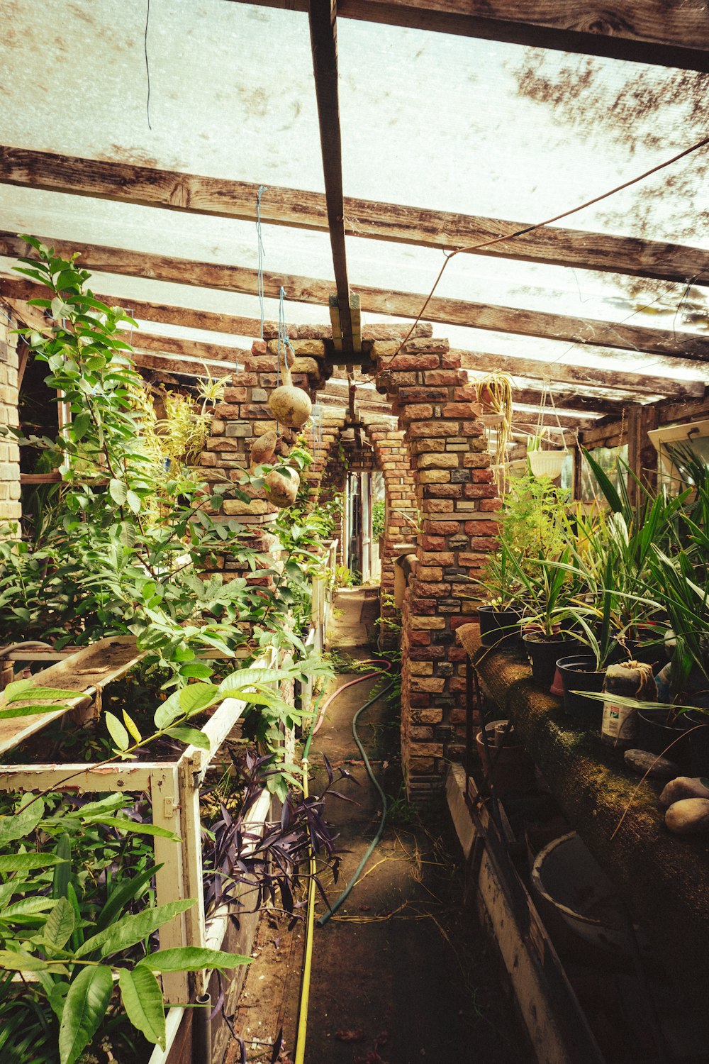 Un bâtiment en briques avec des plantes et des plantes