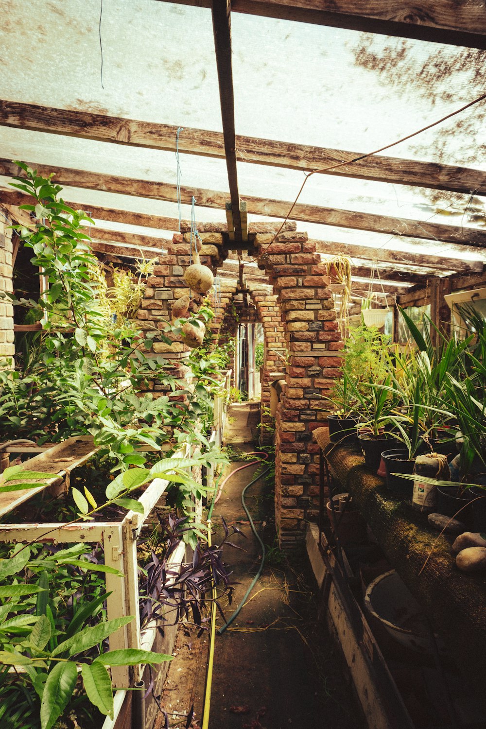 a brick building with plants and plants