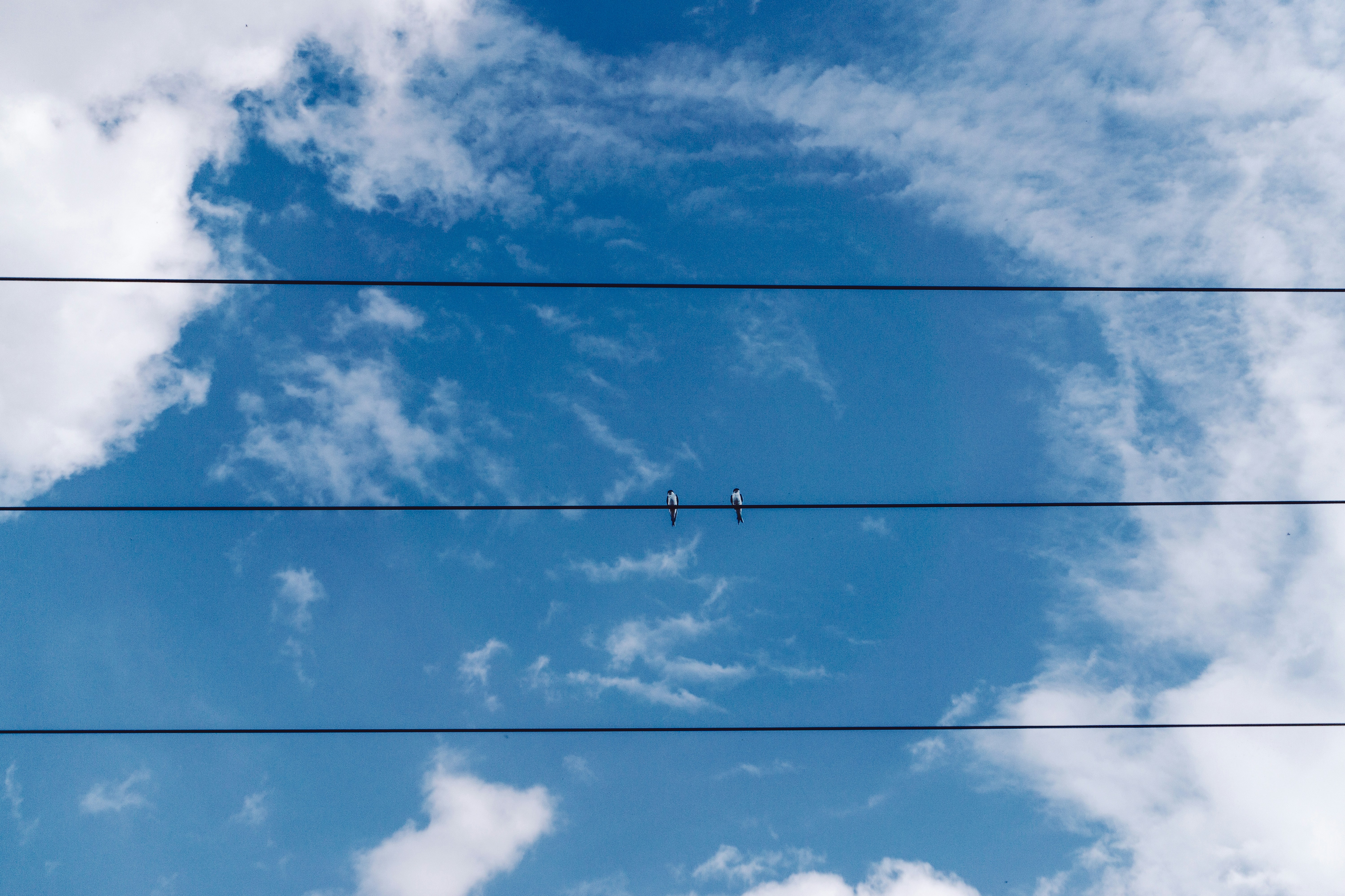 Photo by sindy_suessengut