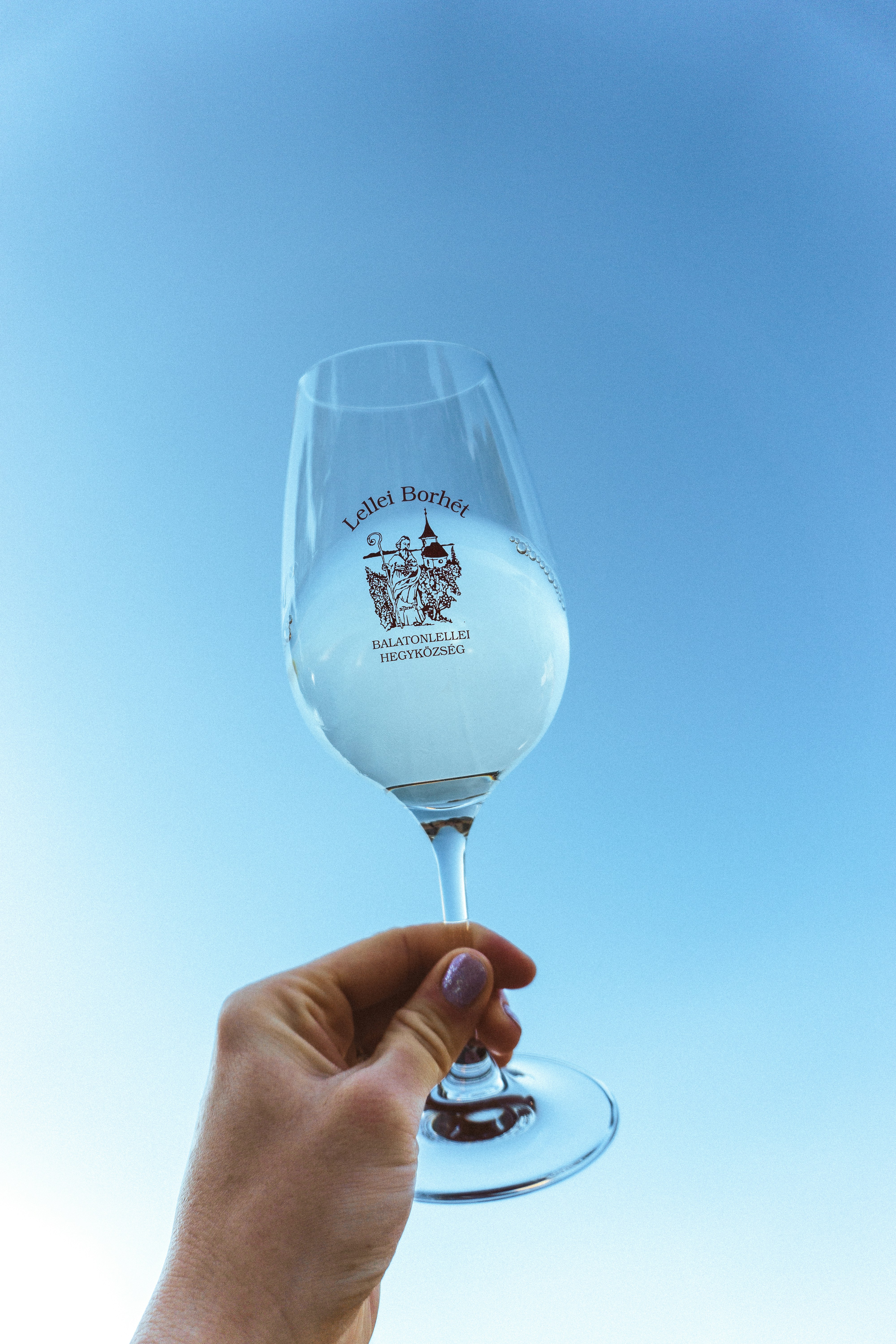 a hand holding a glass of wine