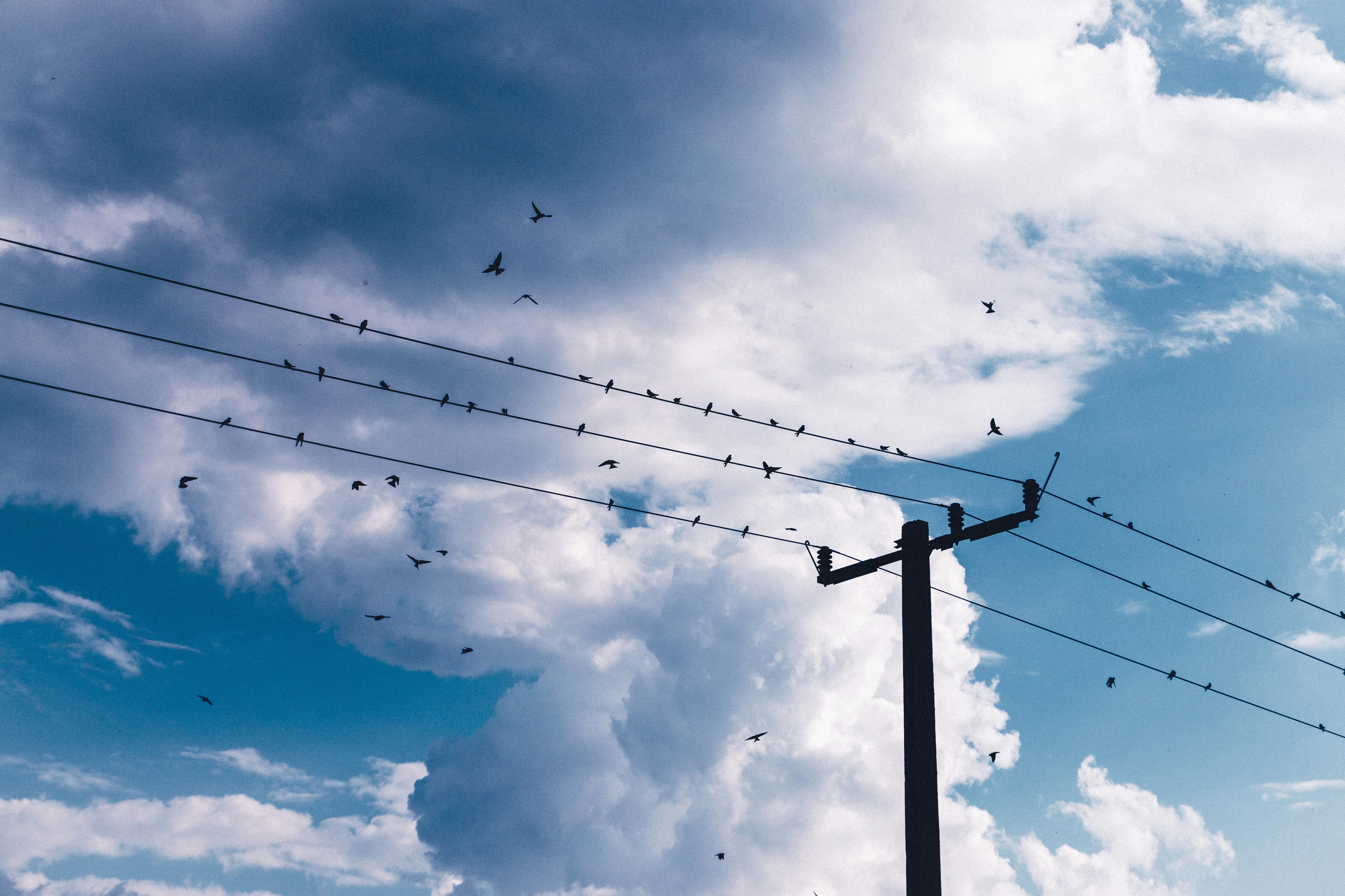 Photo by sindy_suessengut