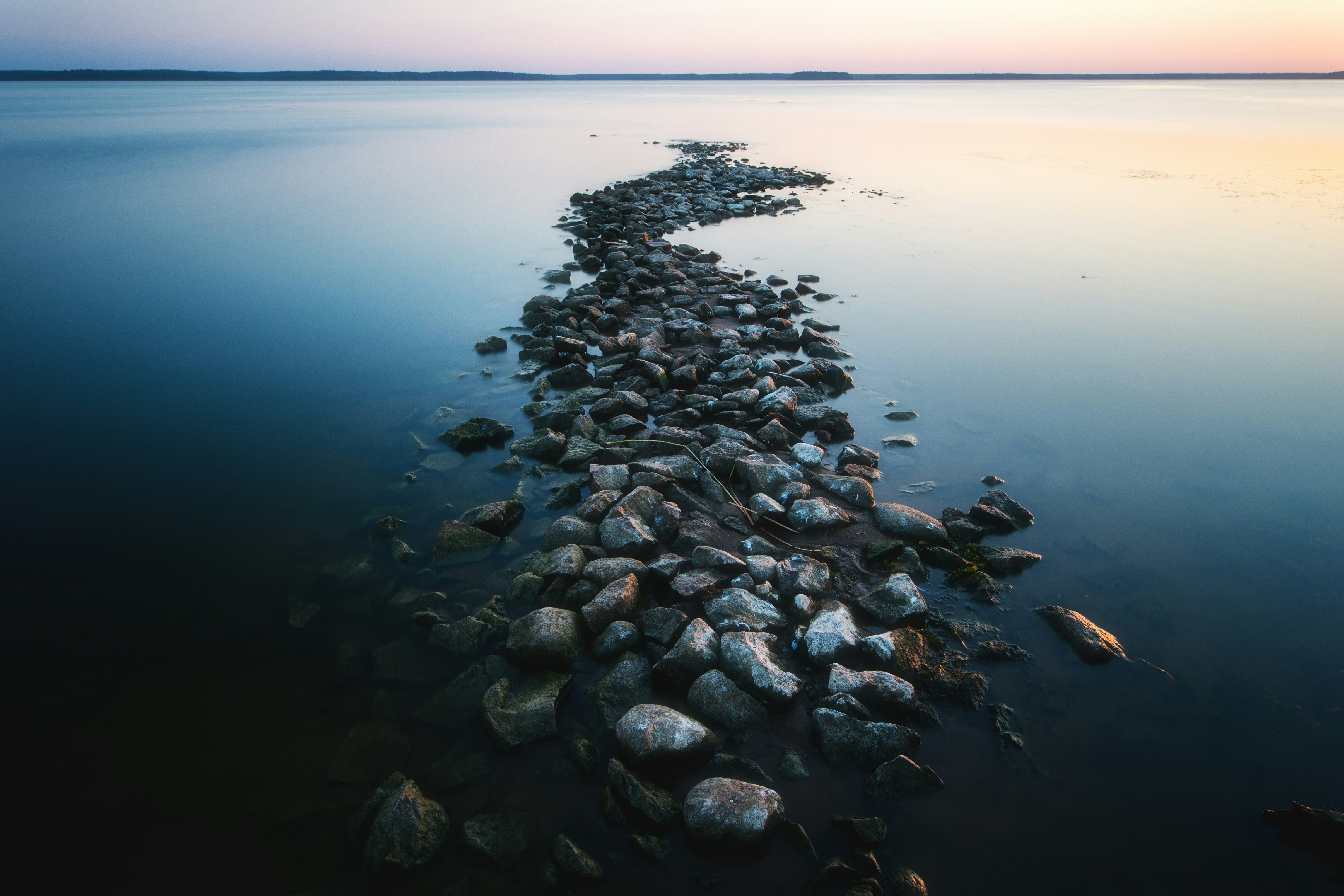 Photo by evil_bumblebee