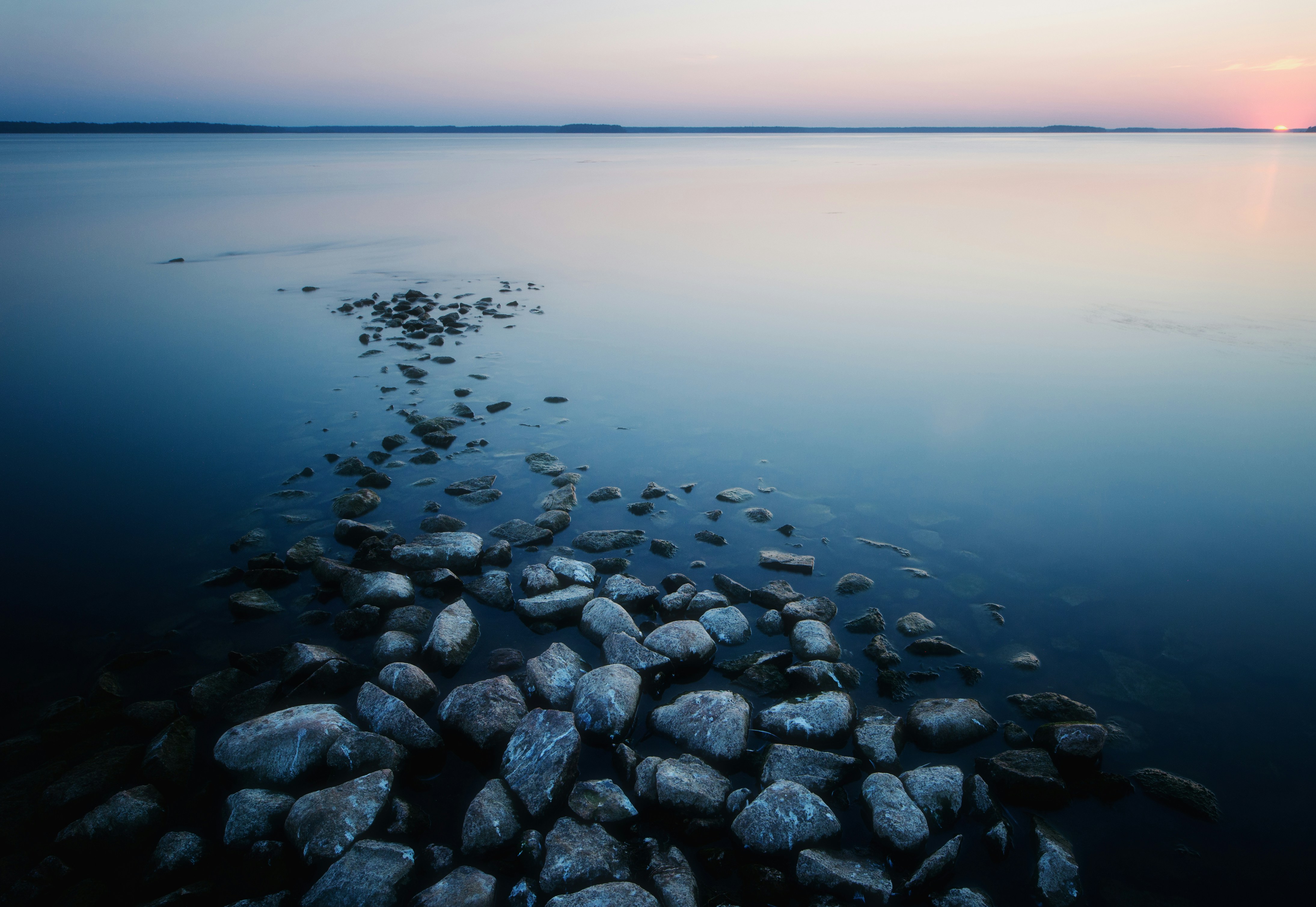 Photo by evil_bumblebee