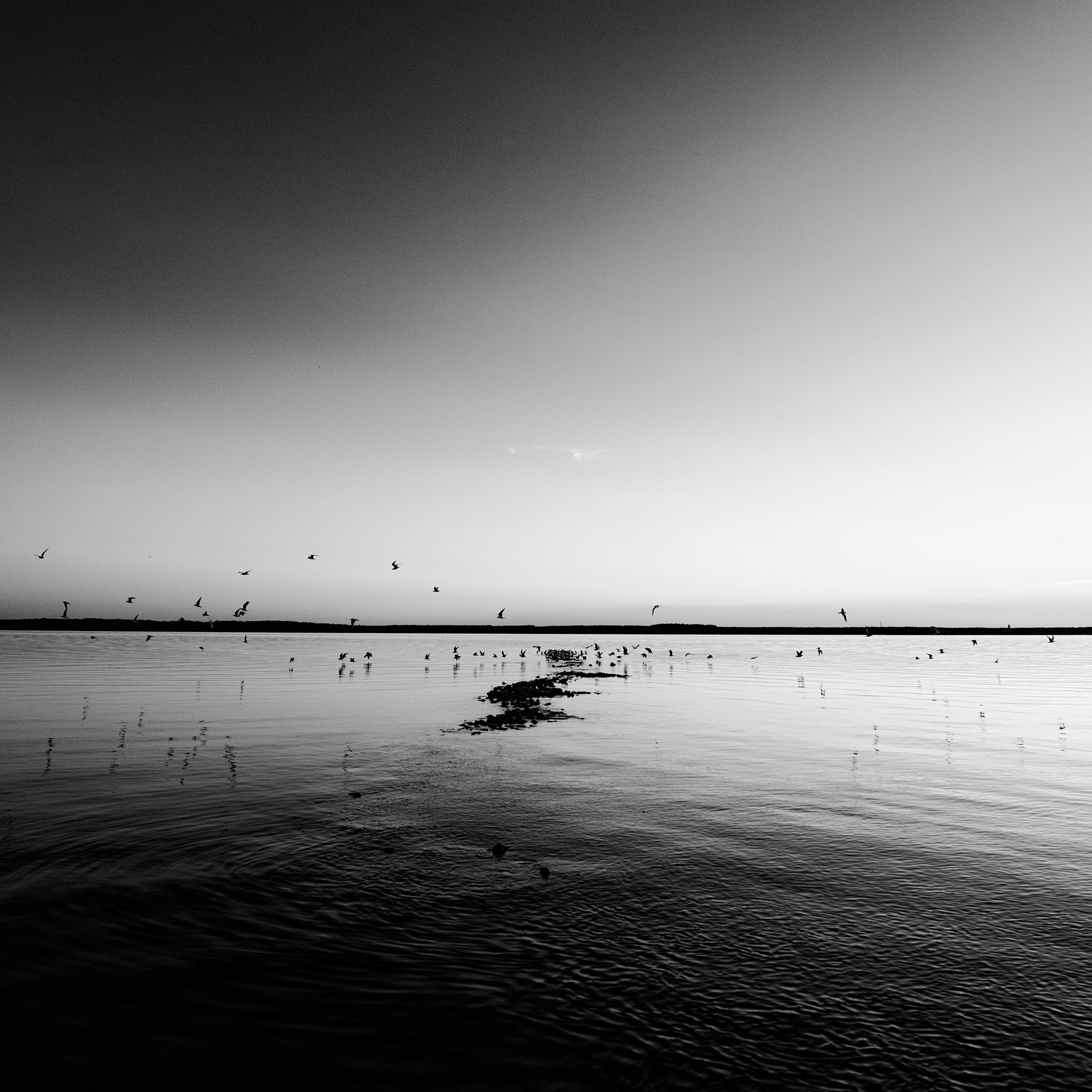 Photo by evil_bumblebee