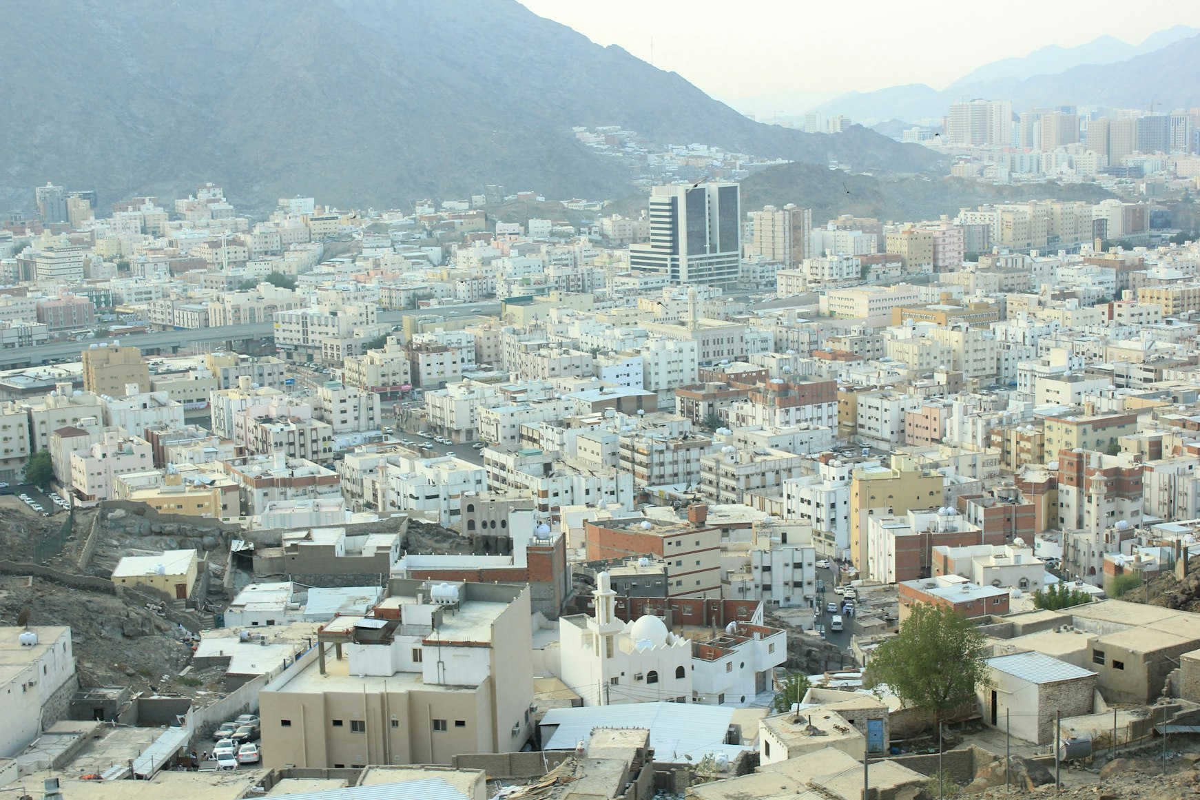Oman landscape with professionals working in various sectors