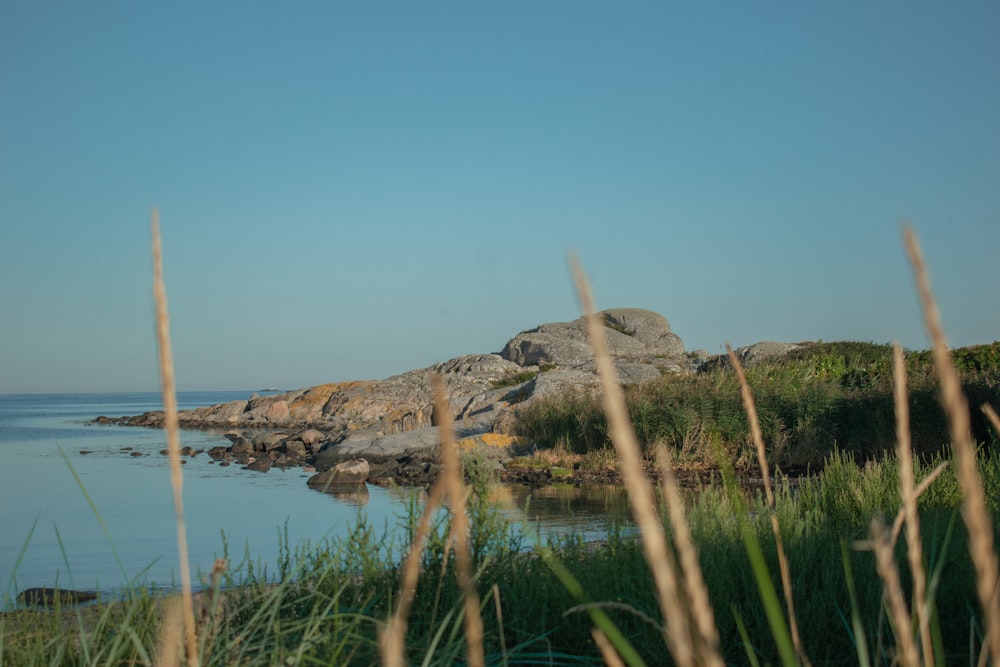 a body of water with grass and rocks around it