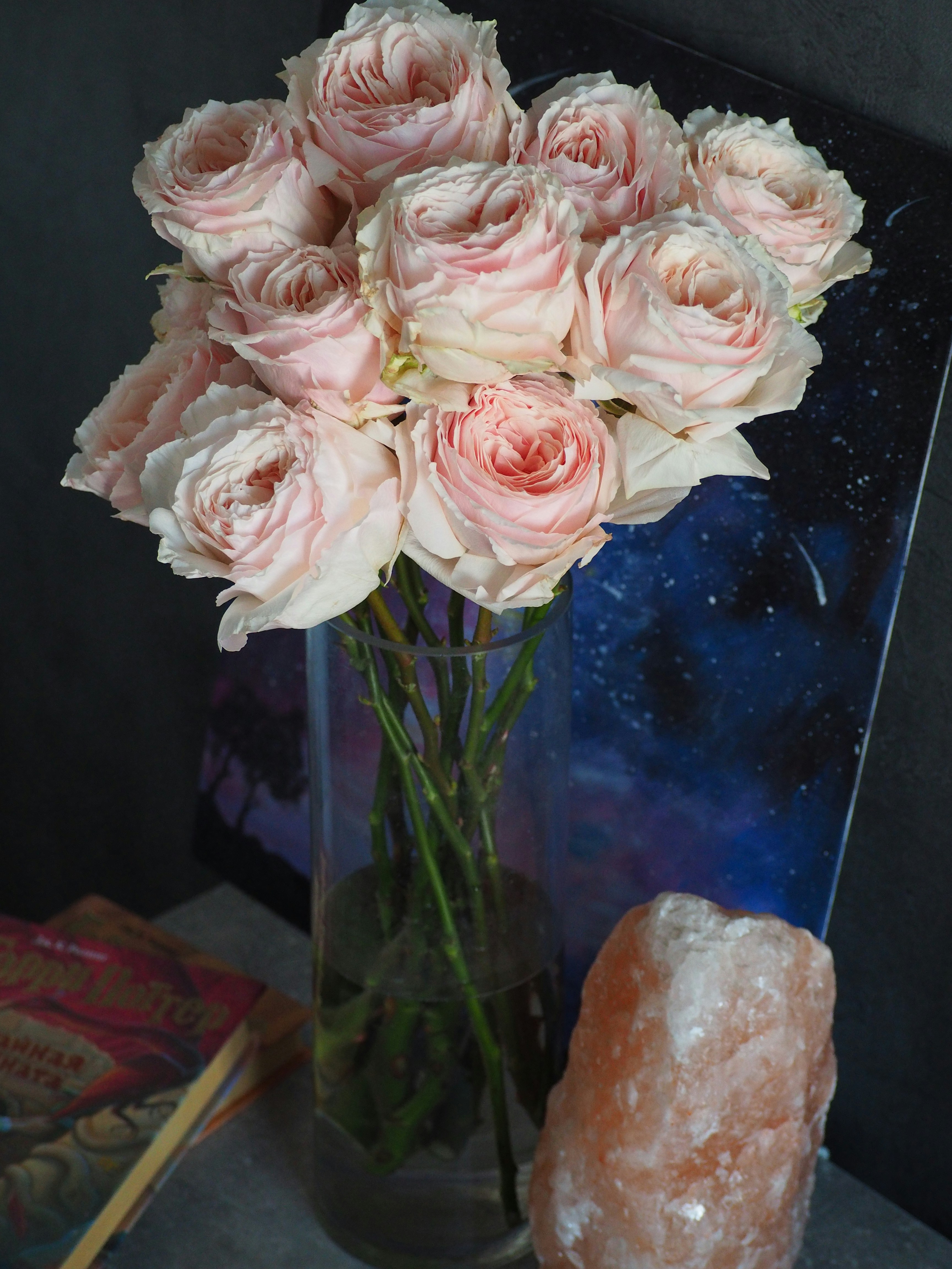 A vase of pink roses photo – Free Design Image on Unsplash