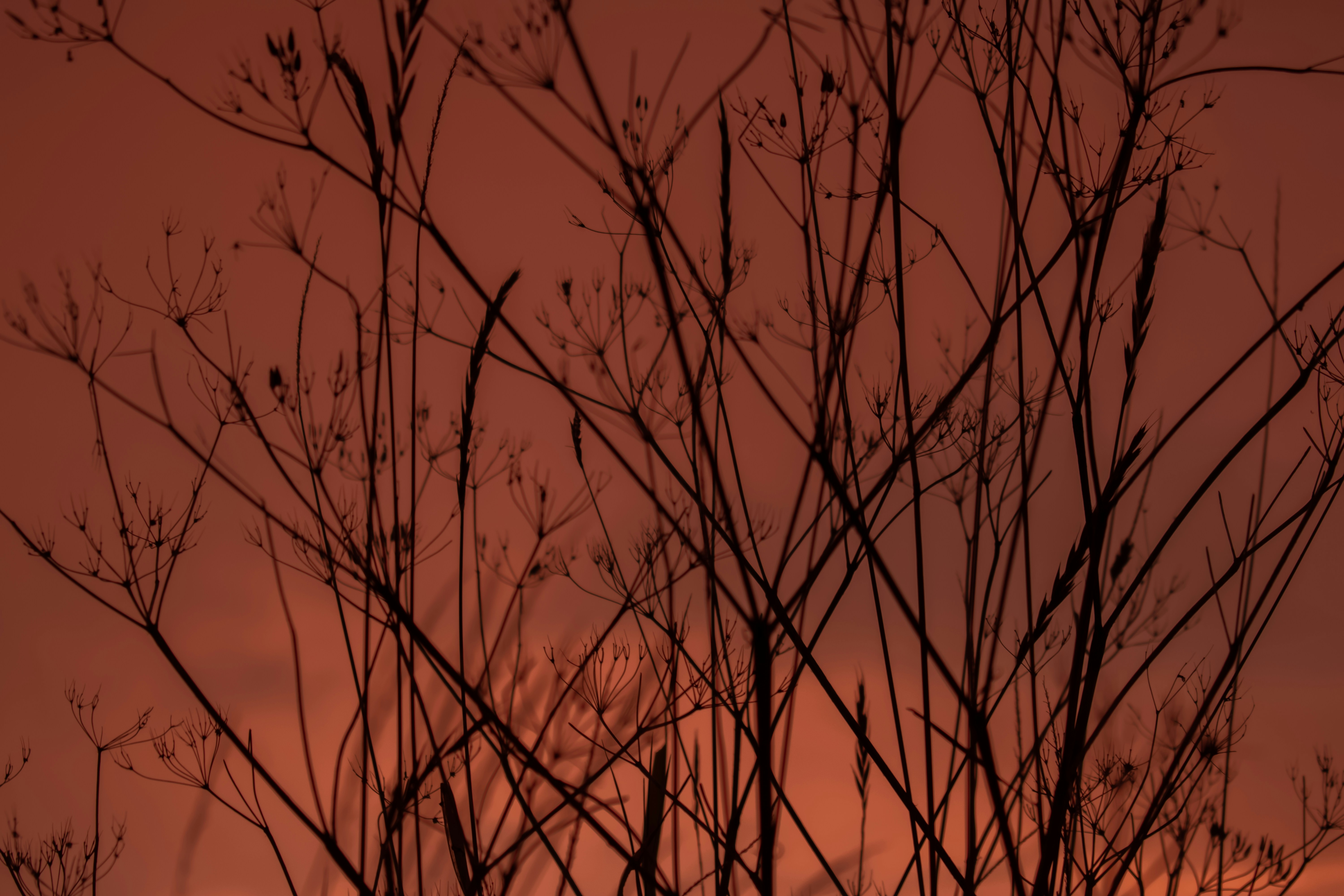 Photo by vierravincent