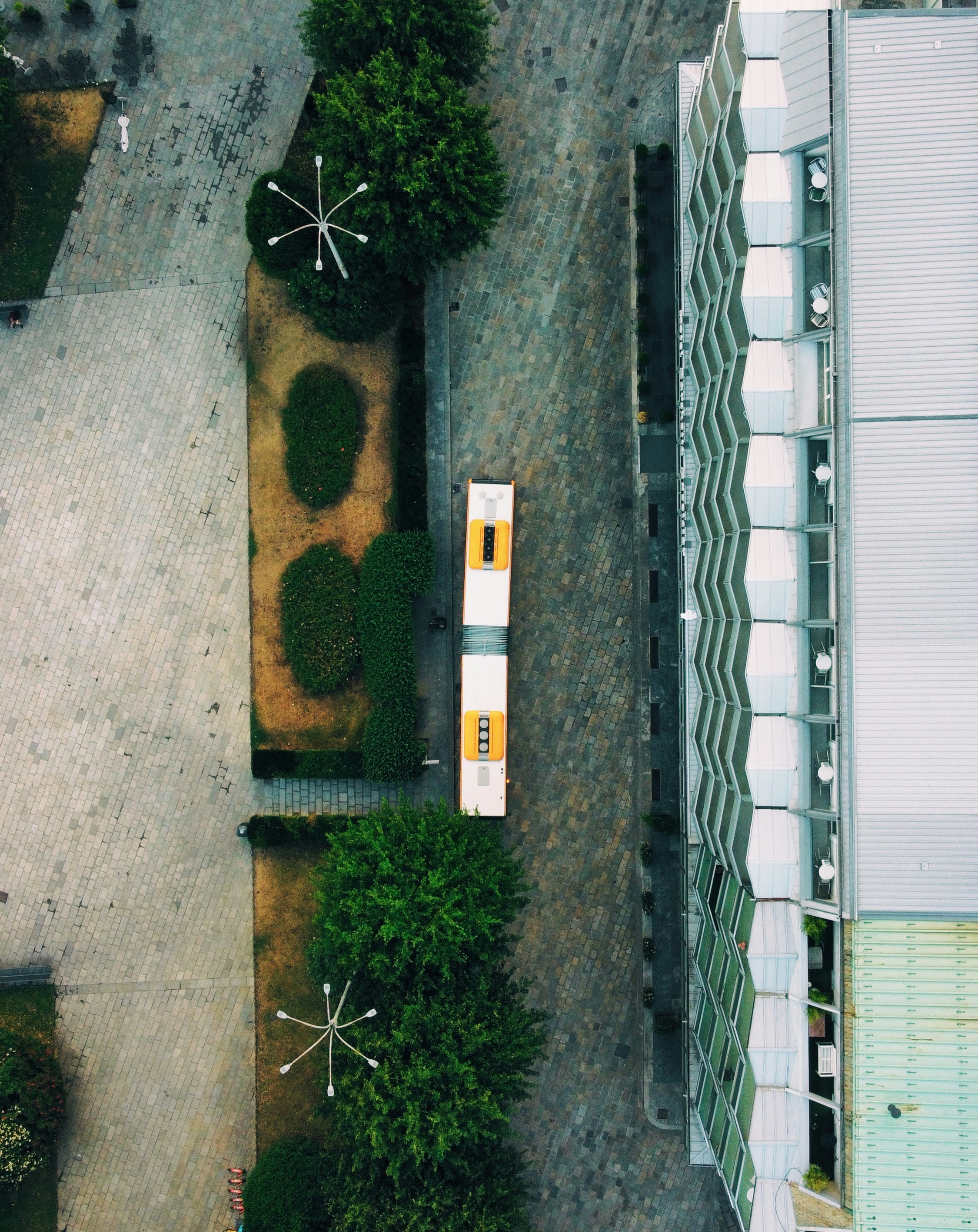 uma rua com edifícios e árvores