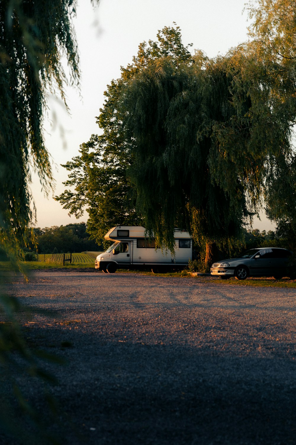 a white van parked next to a tree