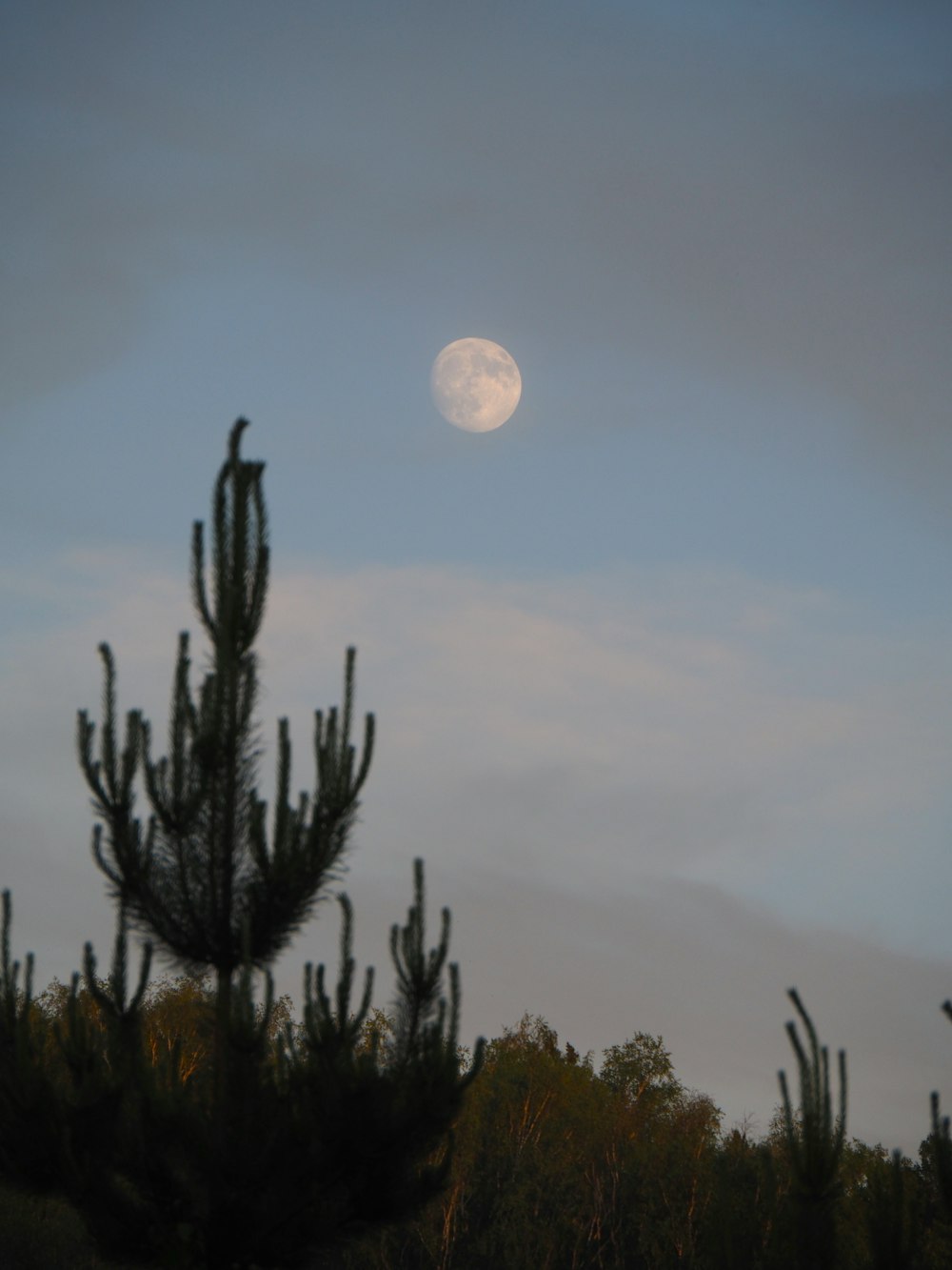 a moon in the sky