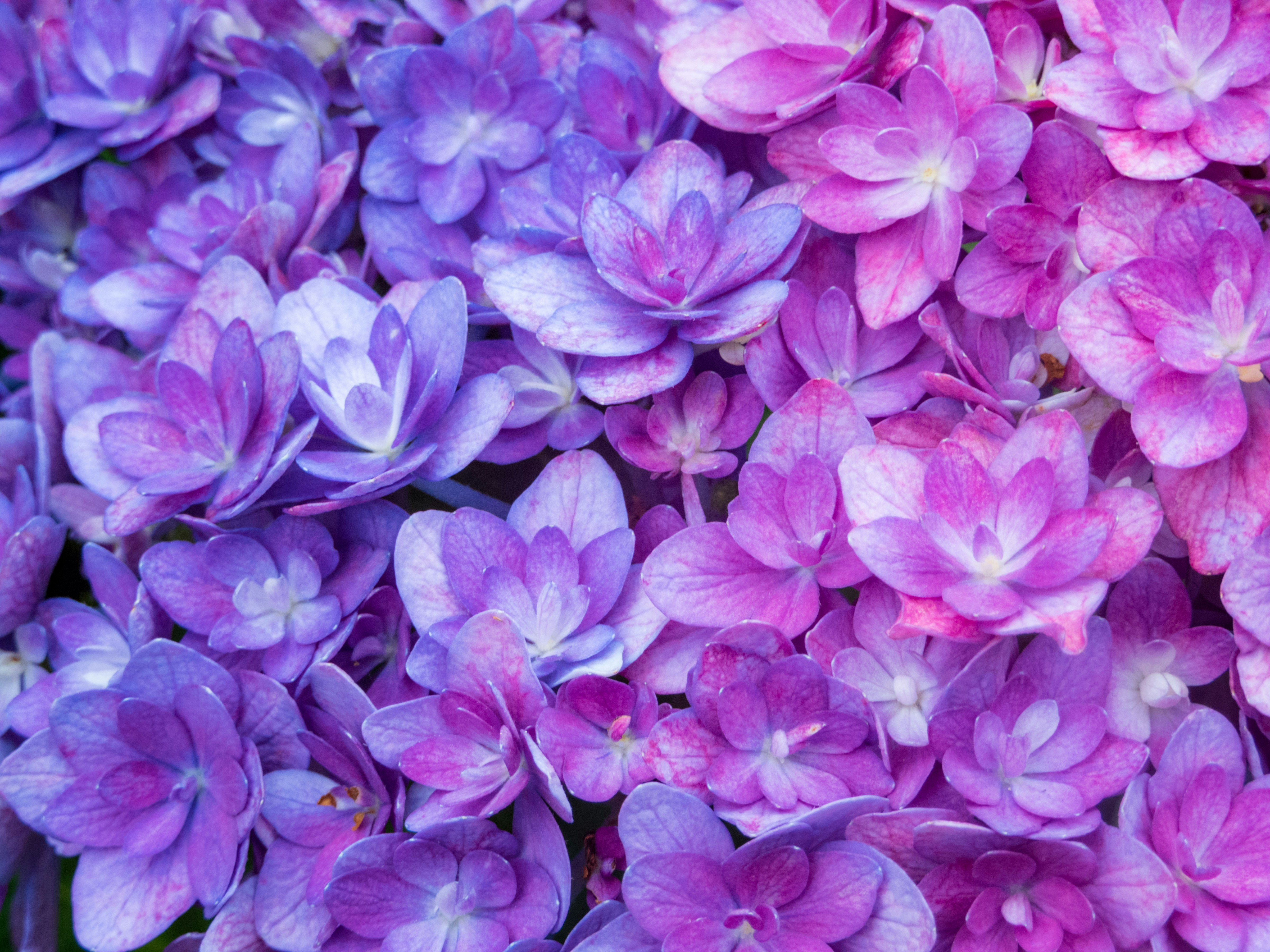 Photo by heppoko_yama