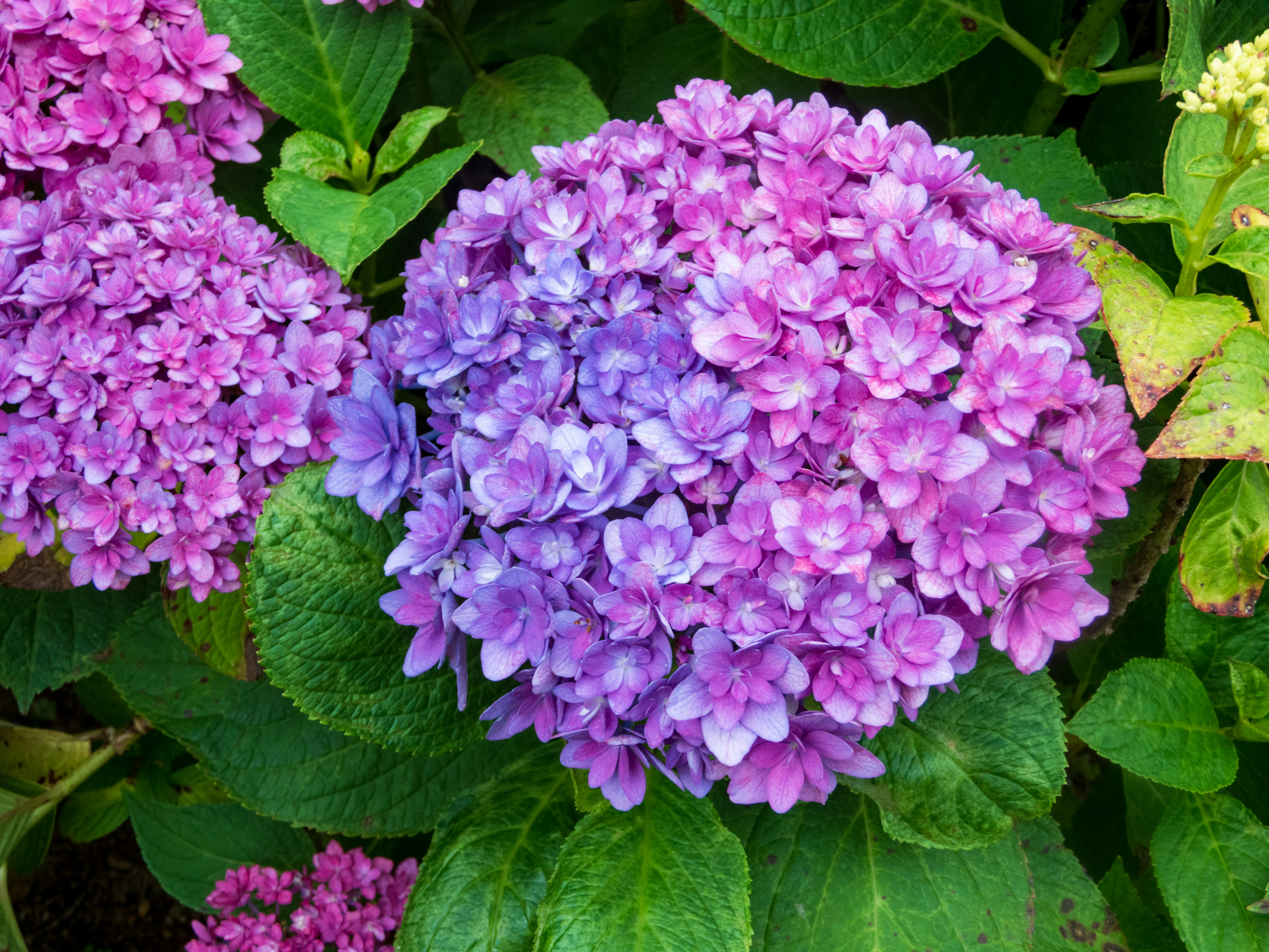 Photo by heppoko_yama