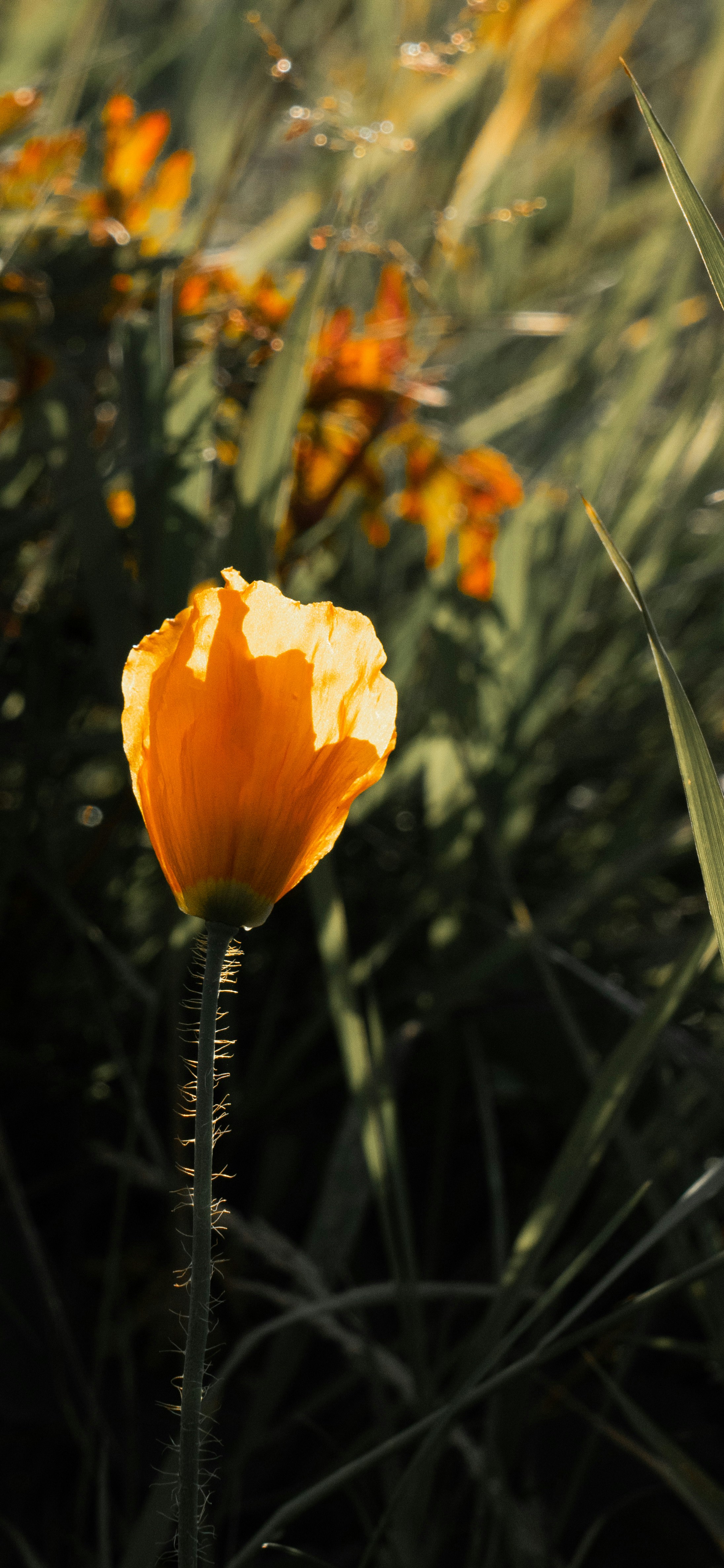 Photo by juniperphoton